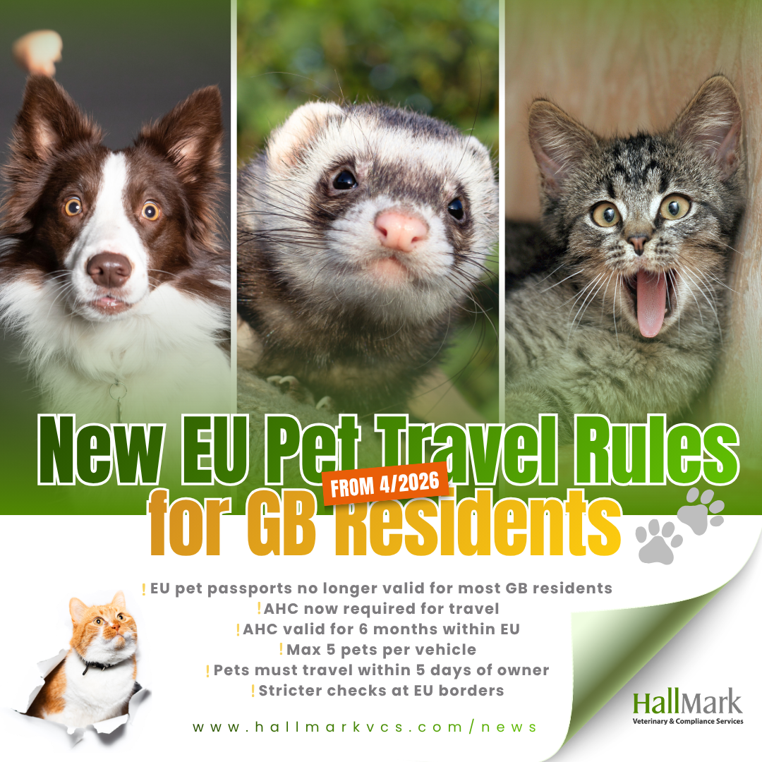 New EU Pet Travel Rules for GB Residents from April 2026