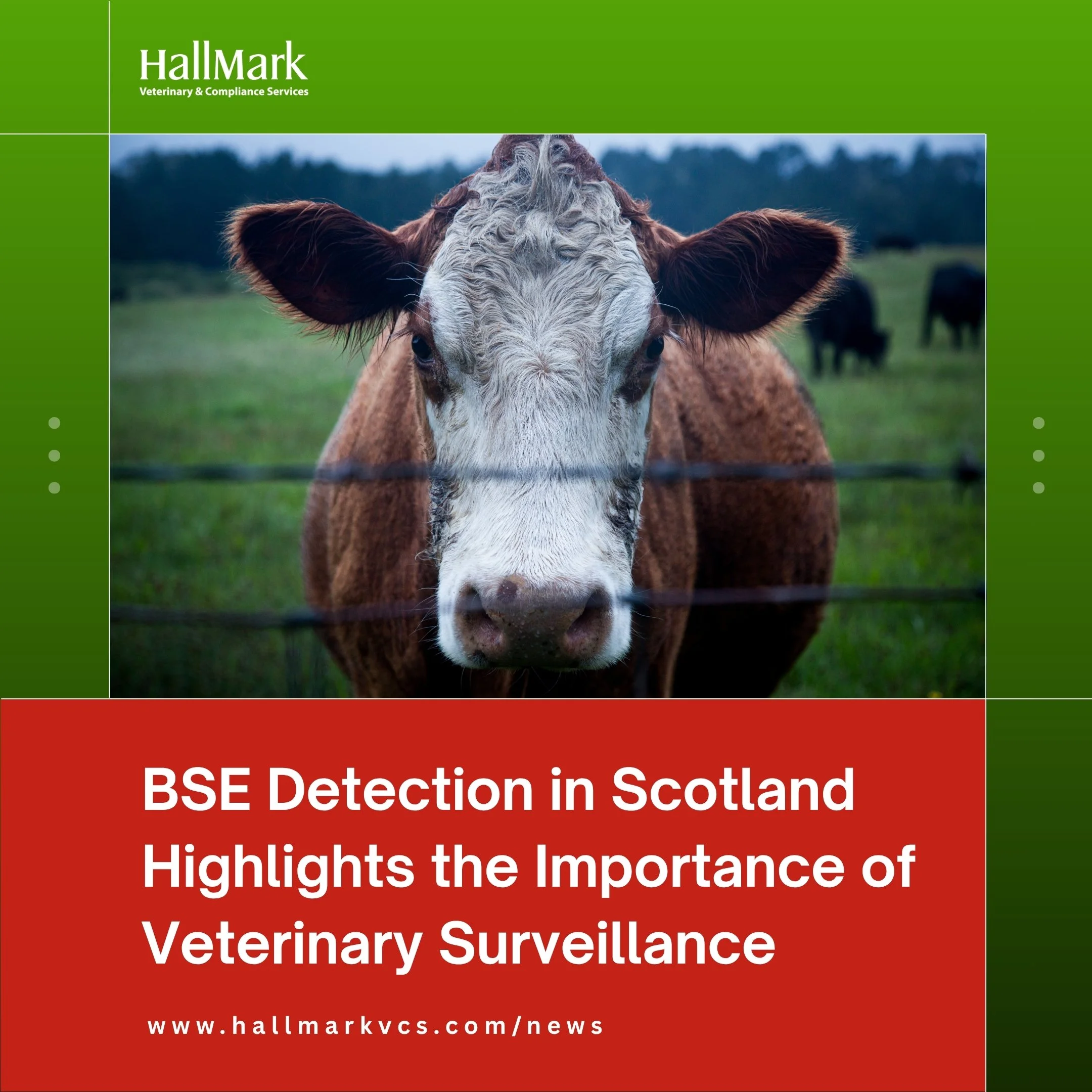 BSE Detection in Scotland Highlights the Importance of Veterinary Surveillance