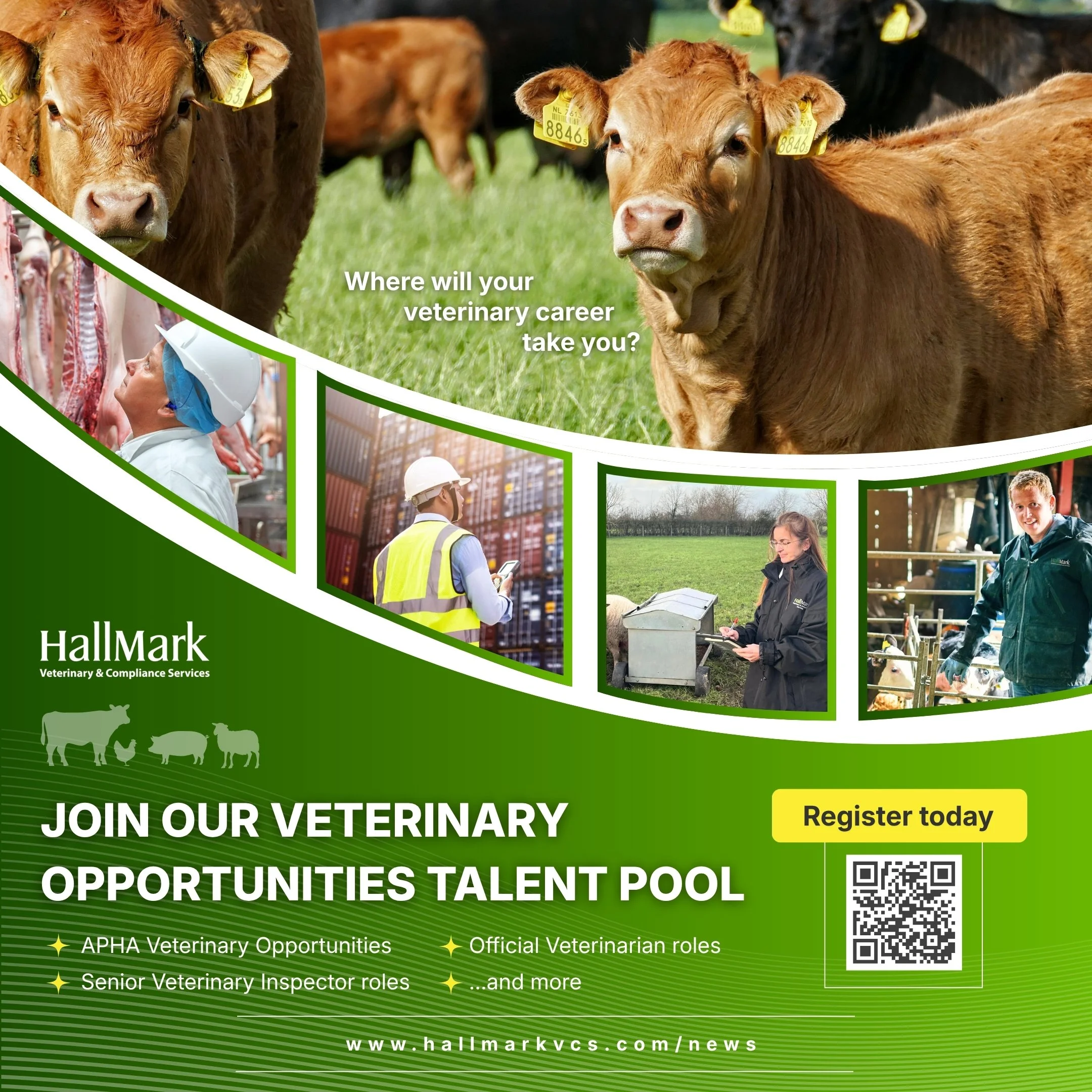 Join HallMark's Veterinary Opportunities Talent Pool