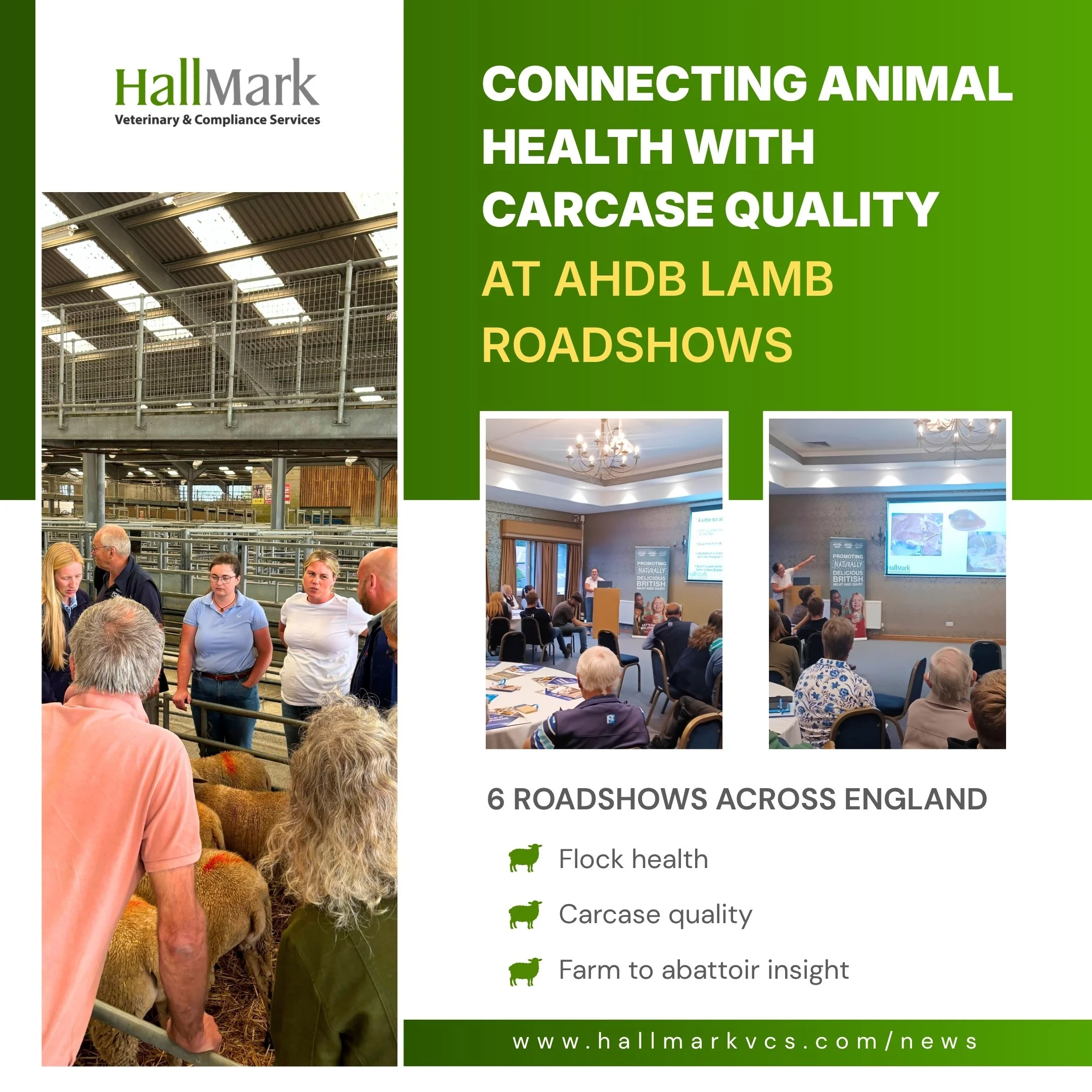 Connecting Animal Health with Carcase Quality at AHDB Lamb Roadshows