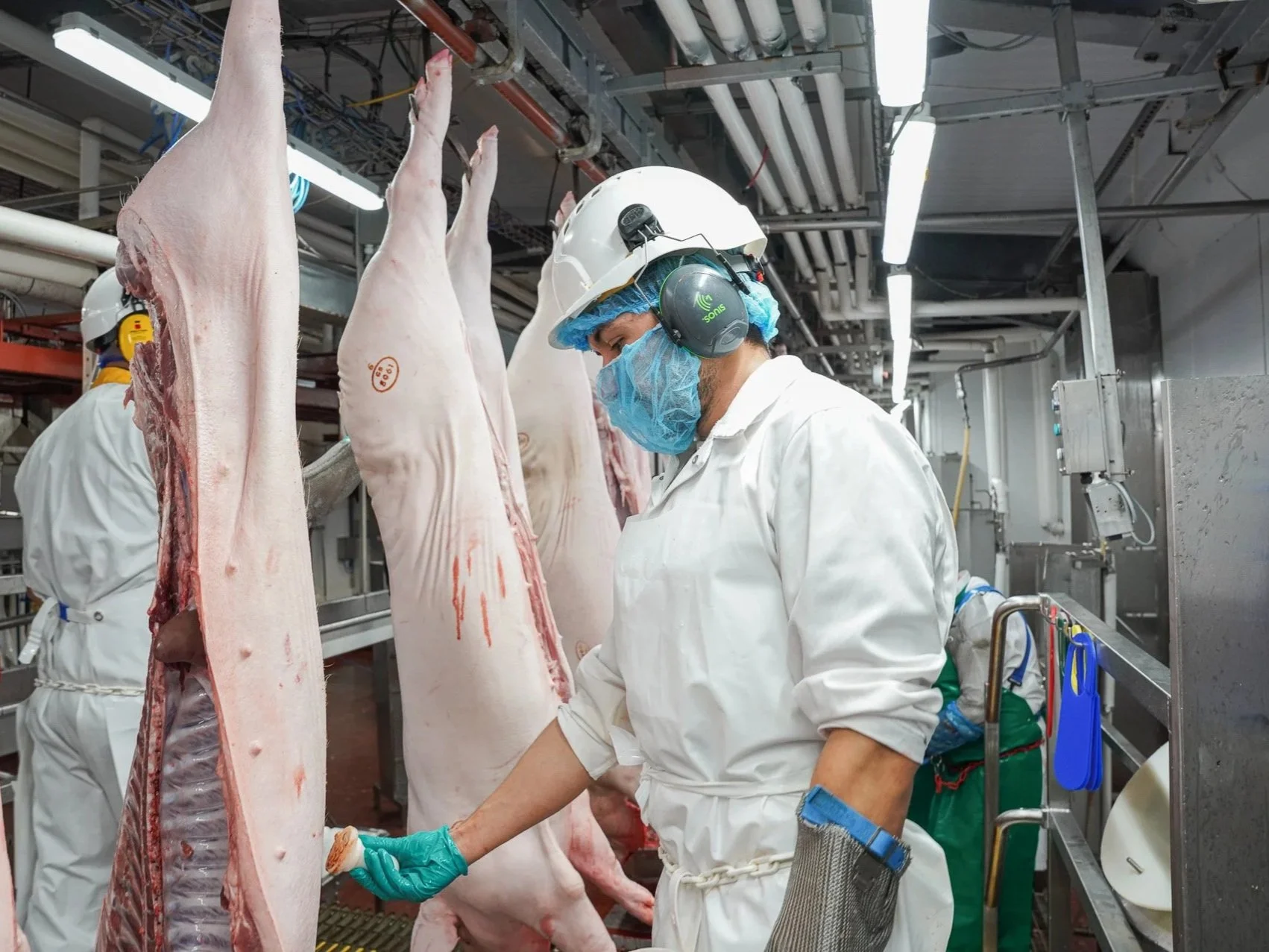 Casual Meat Hygiene Inspector – Bristol