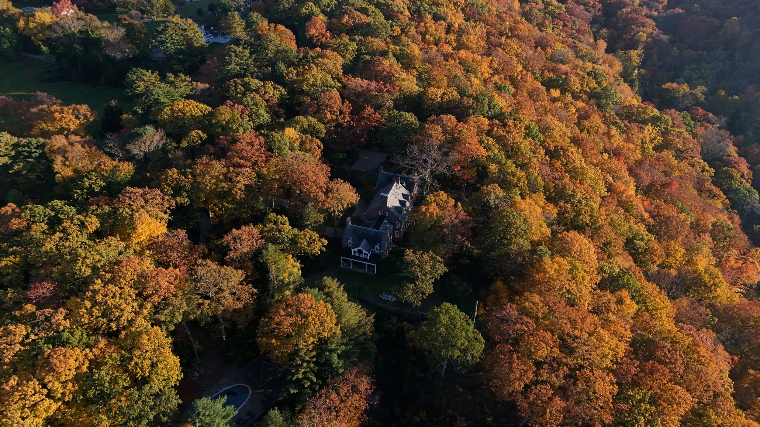 estate (130).jpg