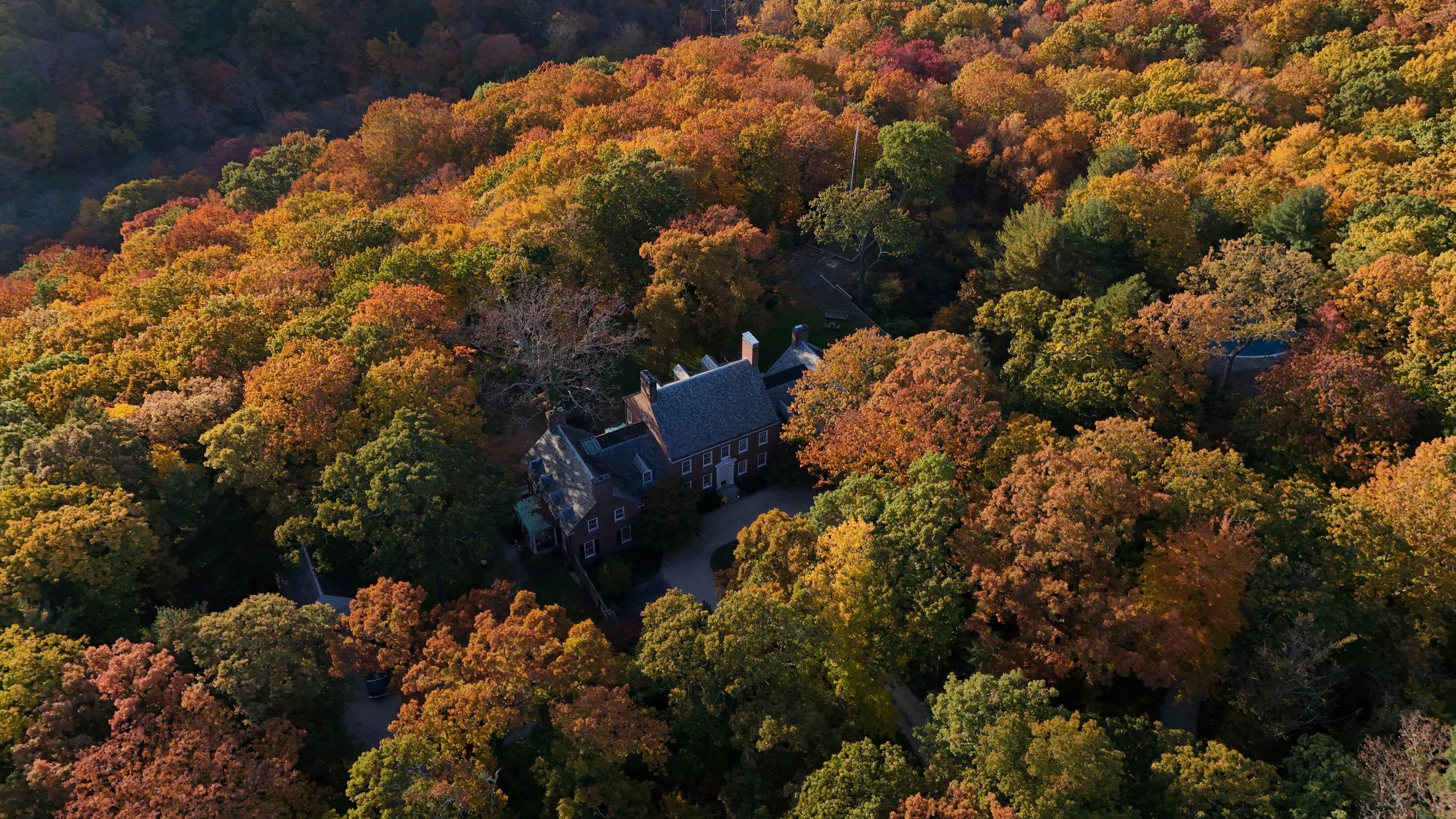 estate (97).jpg