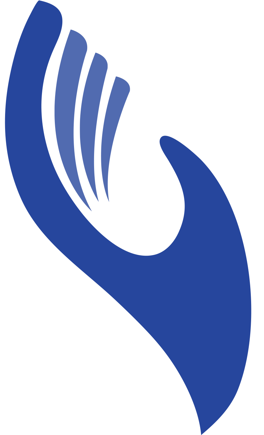 Kim Chiropractic Wellness Center Kim chiropractic wellness center