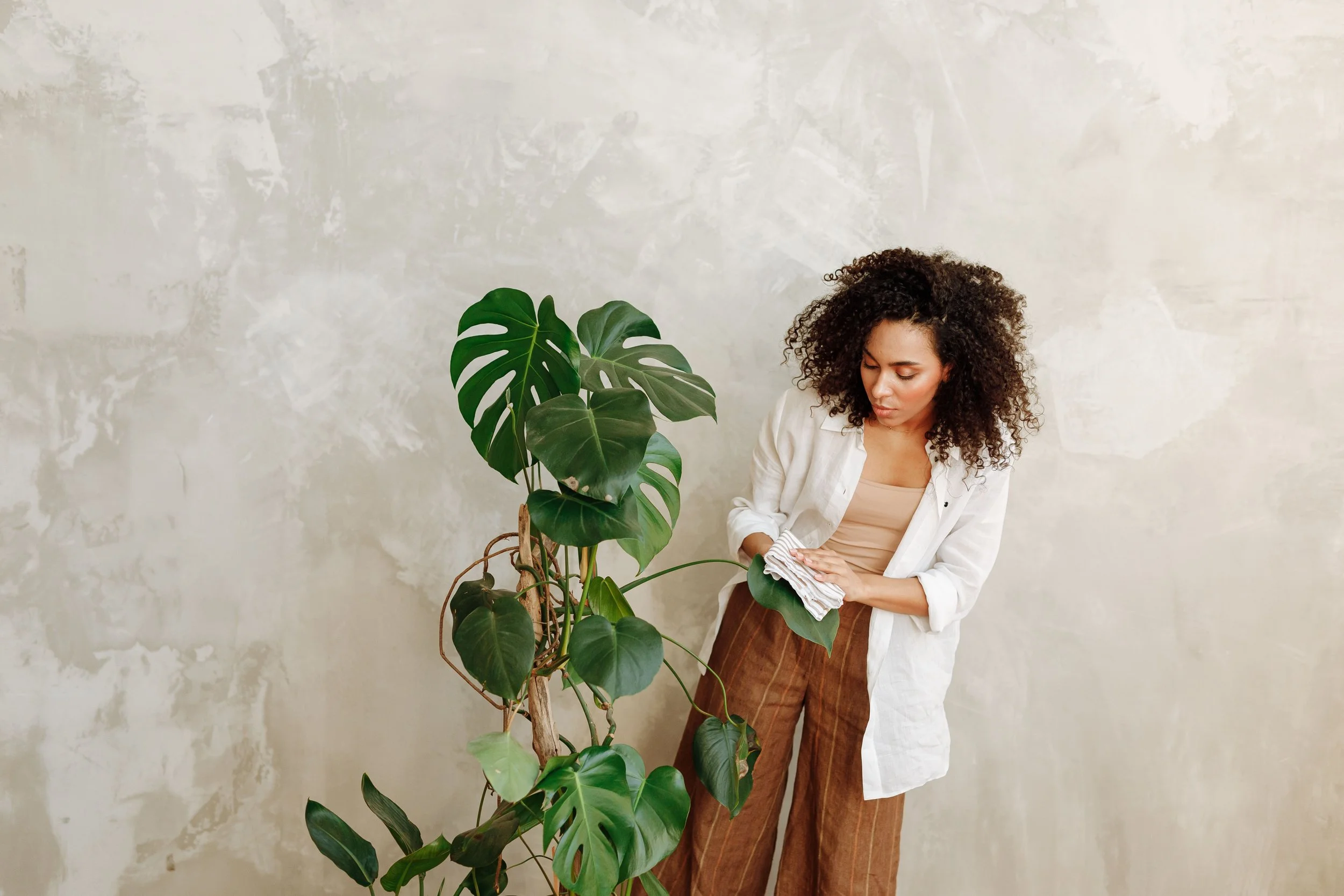 Come Back to Your Roots: The Foundation That Was Always There