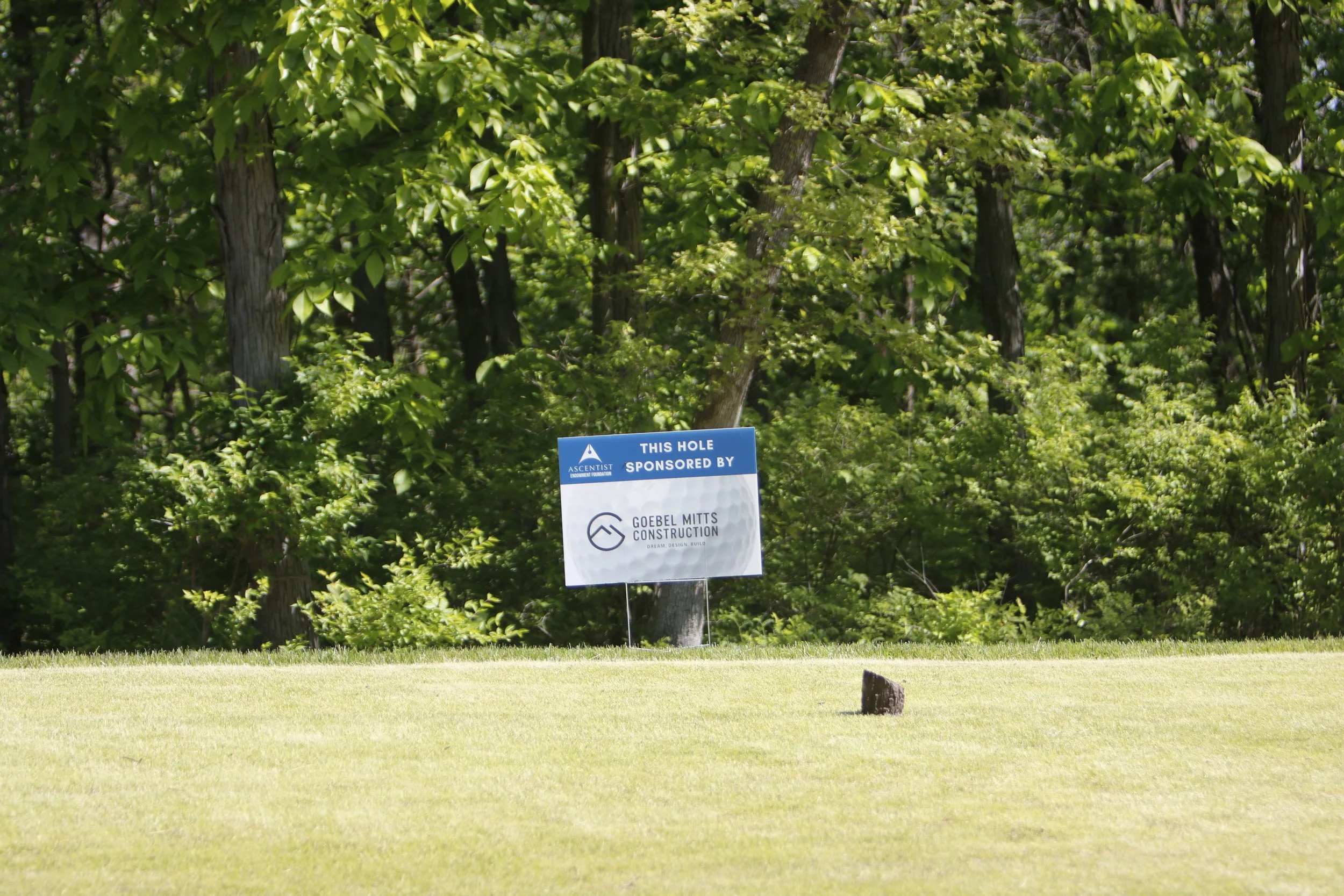 _MG_5208.JPG