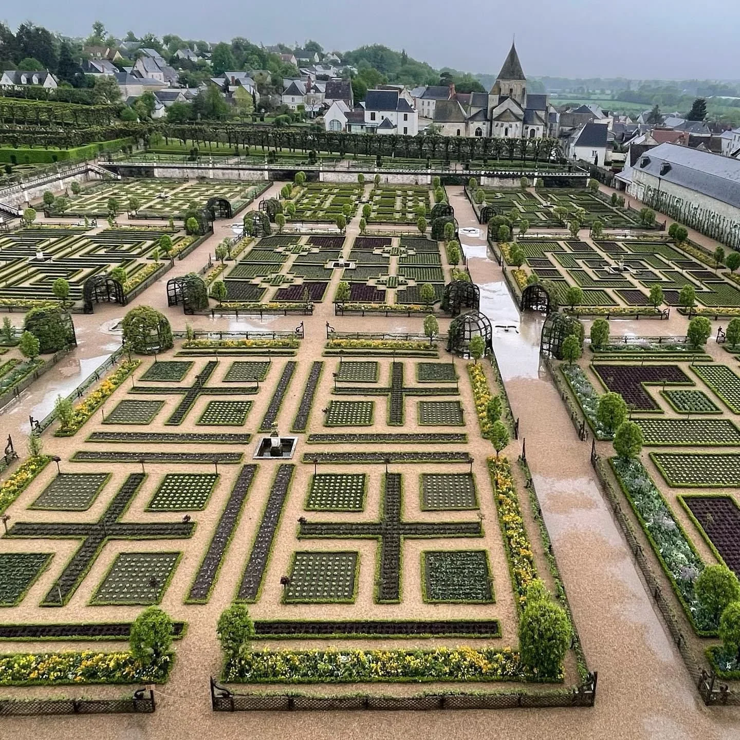 WhatsApp Image 2024-01-10 at 10.23.56 (1).jpeg