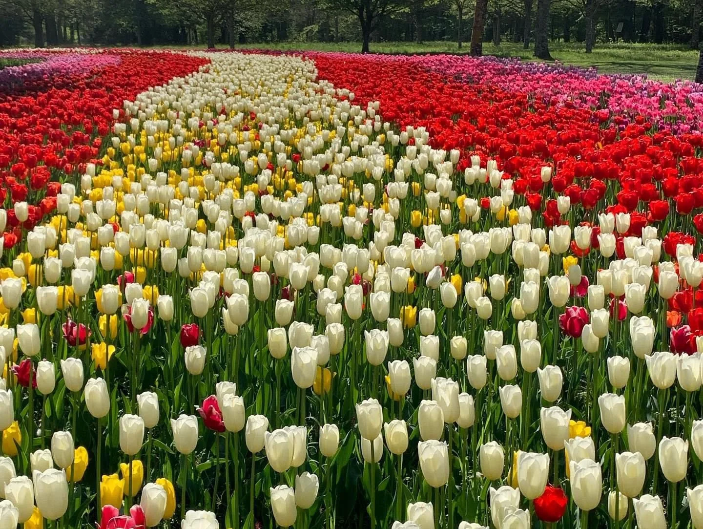 WhatsApp Image 2024-01-10 at 10.24.03.jpeg