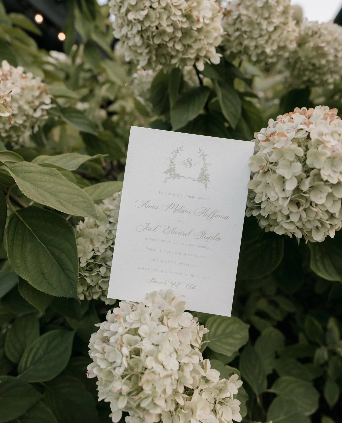 A moment for all the gorgeous green details from Anna and Jack&rsquo;s wedding day 🤍 I loved getting to work with Anna on this suite and getting closer with this lovely couple!