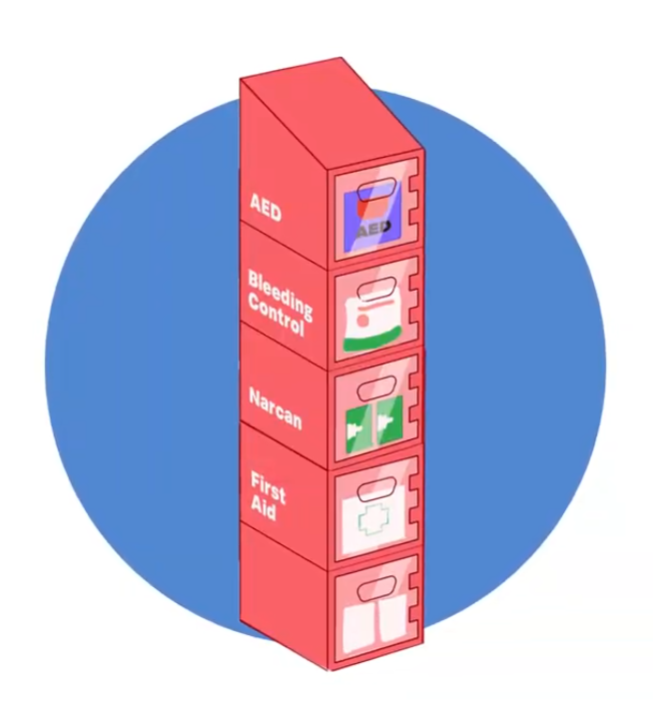 Emergency Public Access Point (EPAP) - Priority Reservation