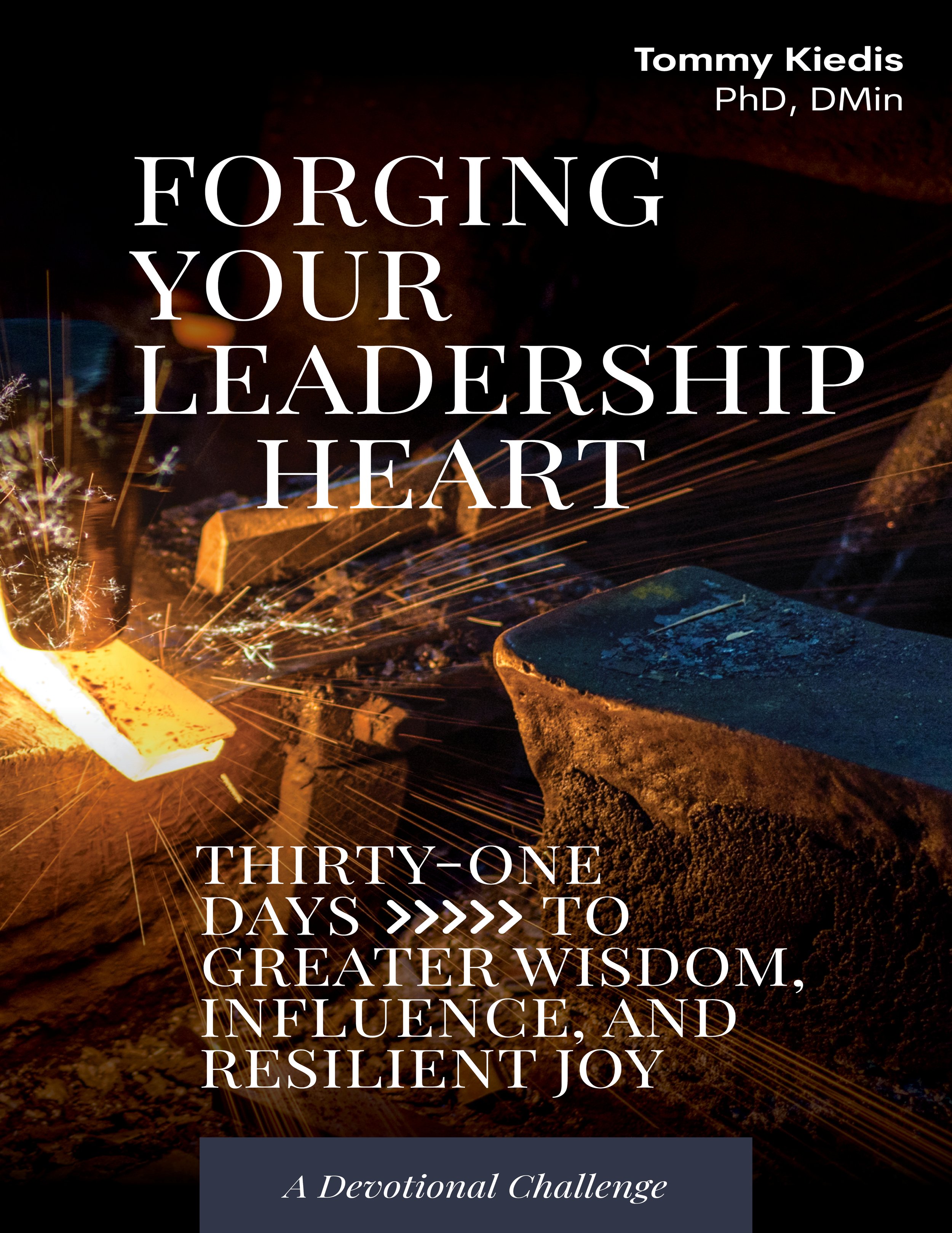 Forging YLH kindle cover.jpg