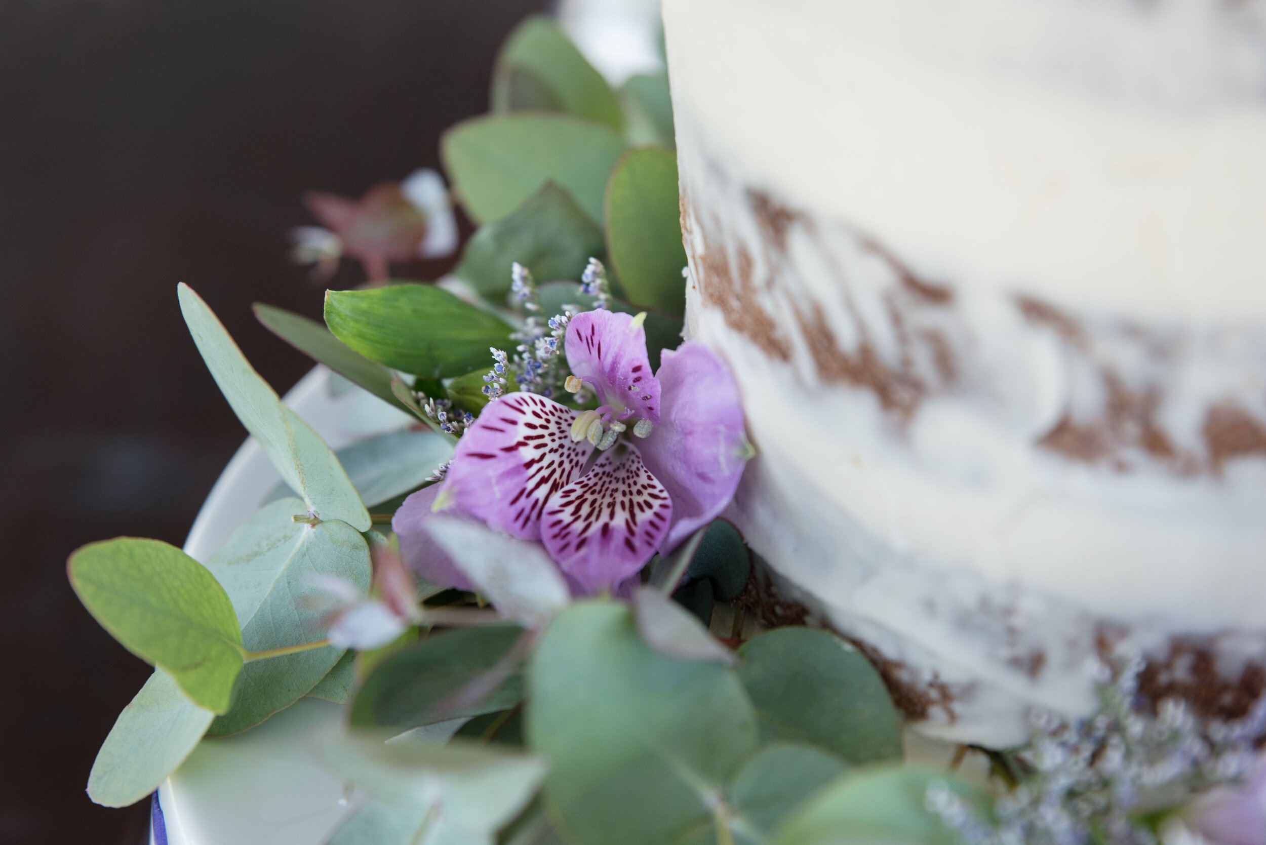 EricksonFarmsteadWeddingCake.jpeg