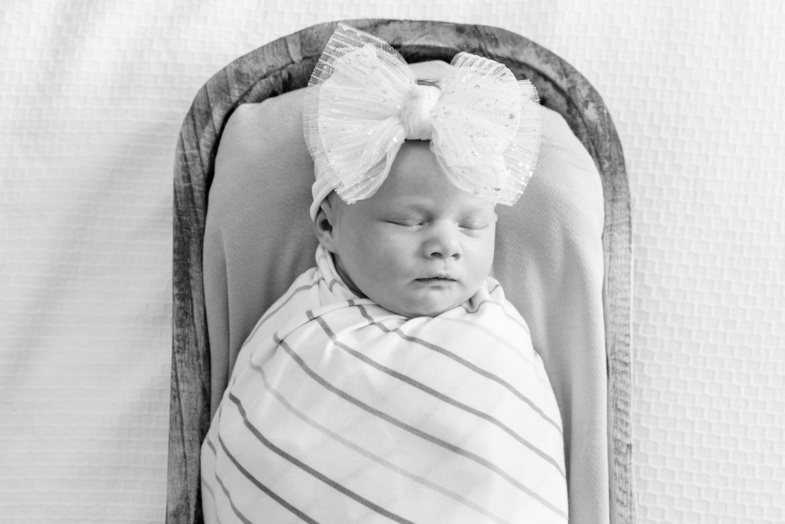 Minnesota Newborn Photos.jpeg