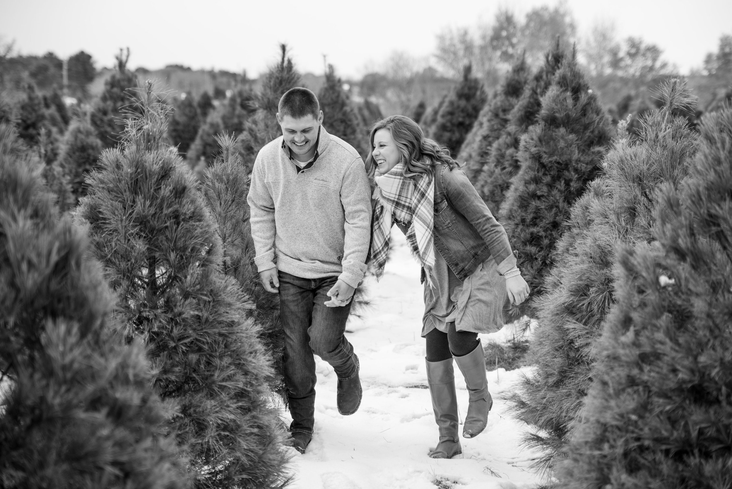 Hansen Tree Farm Engagement Session Amy K Photography.jpeg