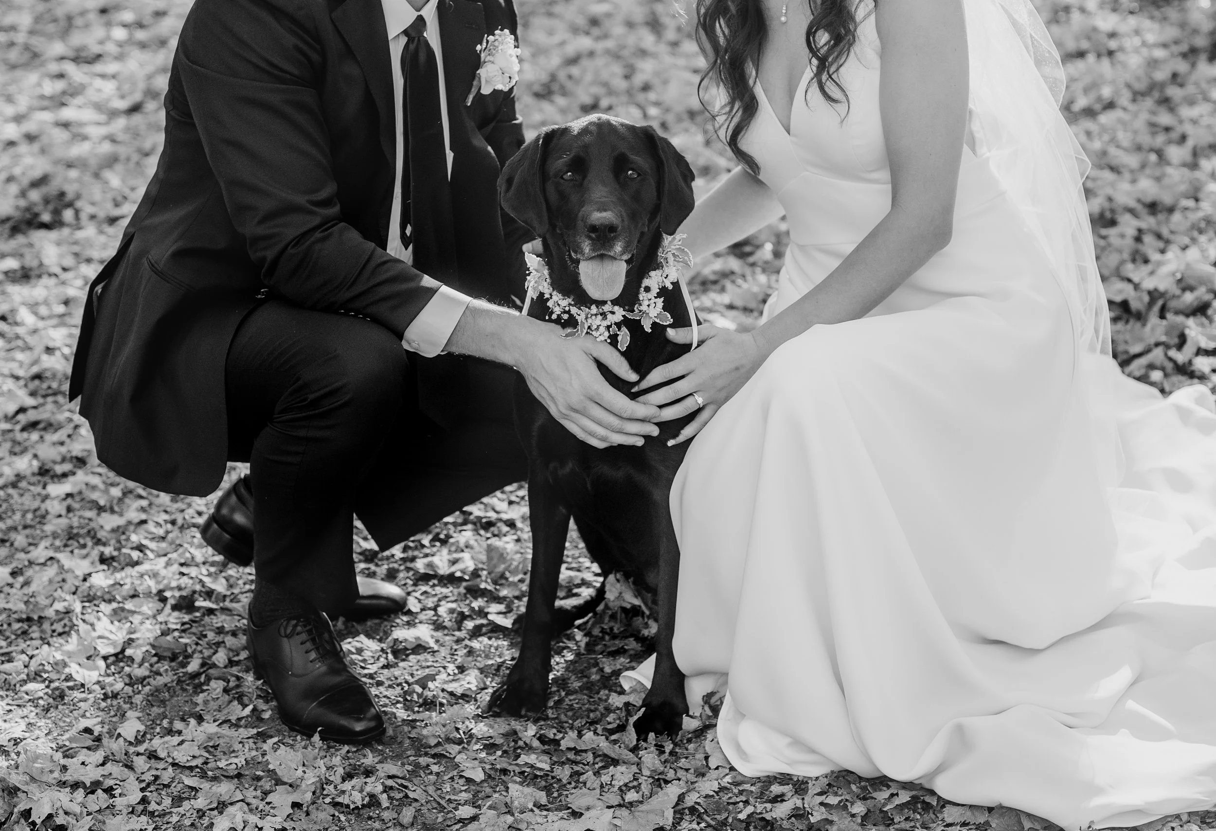 Dog-friendly wedding venue in Minnesota, the Horse and Hunt Club