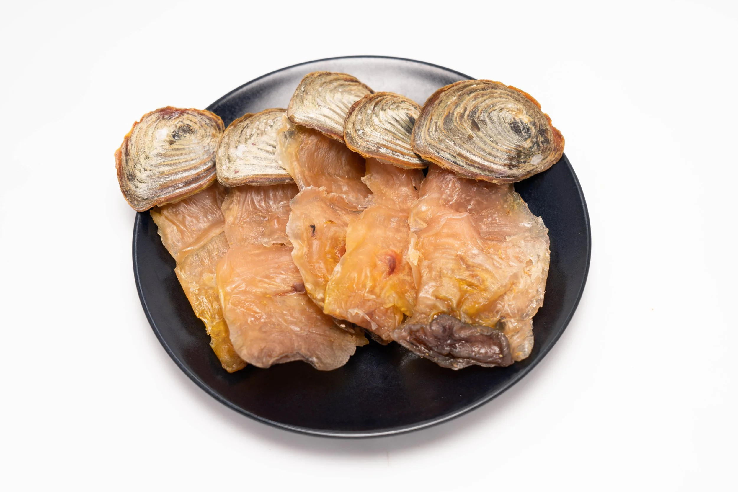 西非響螺片開邊有奄 特大XL  DSC05385a.jpg