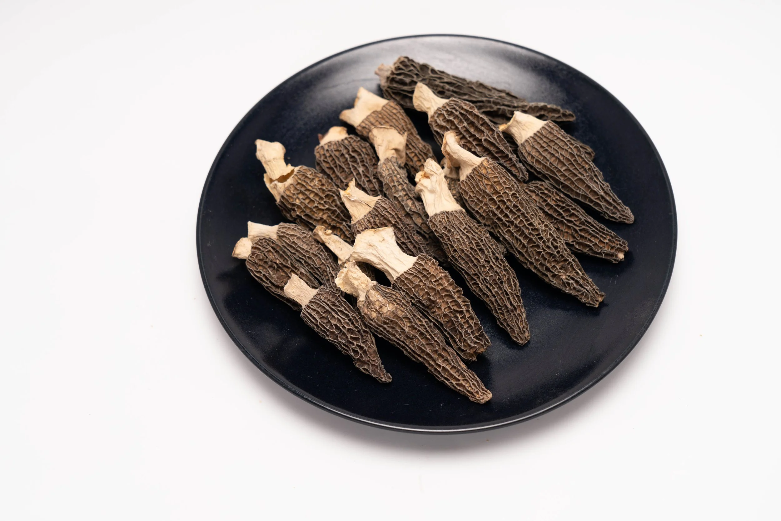 野生羊肚菌 Morel DSC05404a.jpg