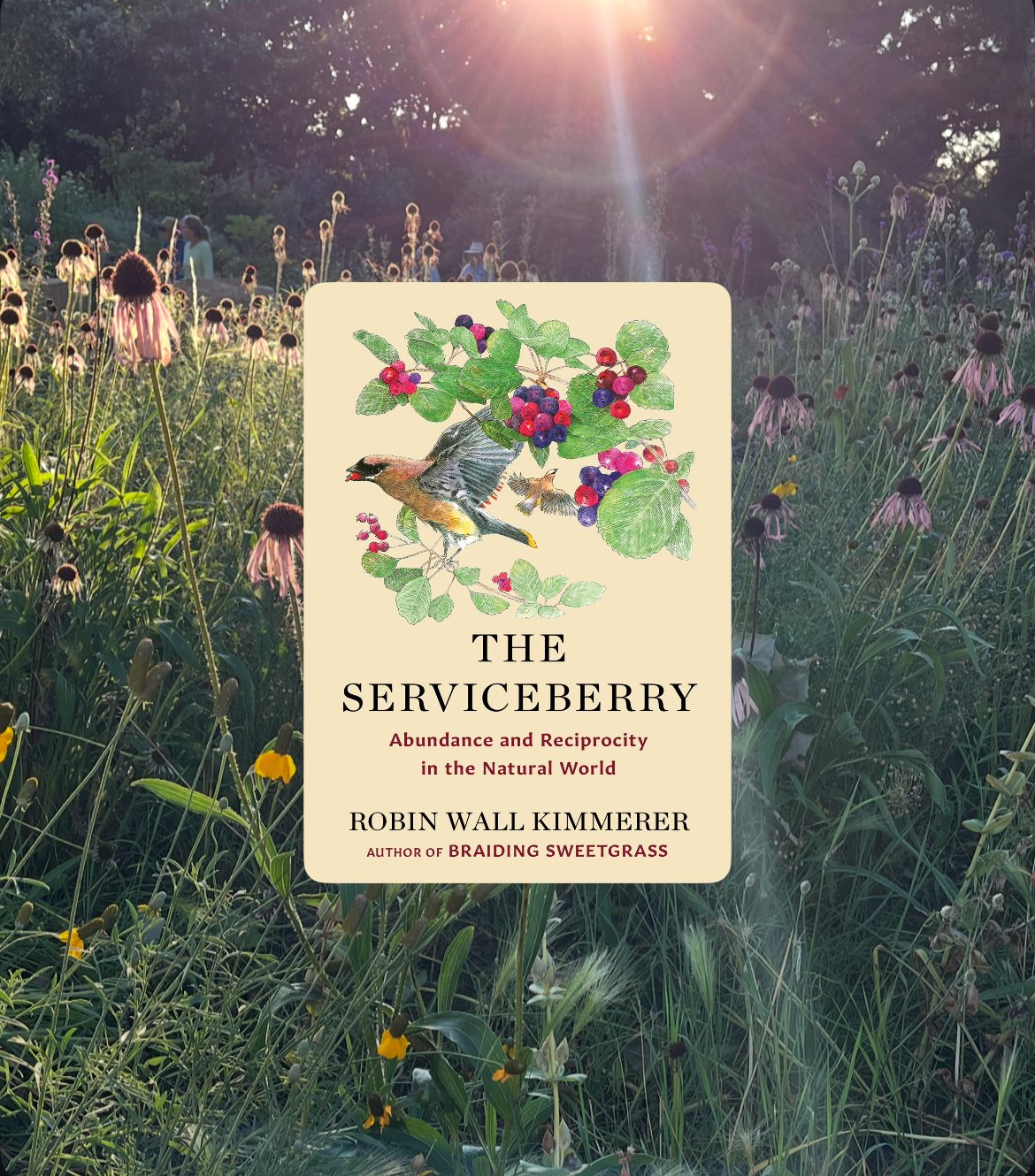 Book Review: The Serviceberry by Robin Wall Kimmerer