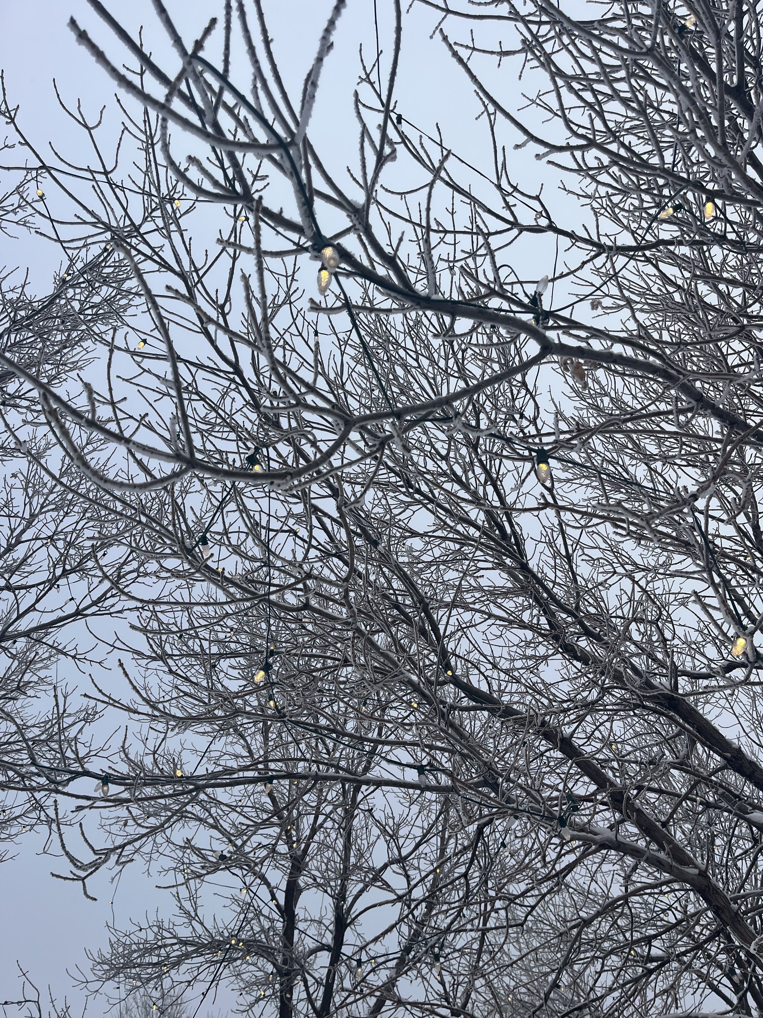 My 2025 Goals - Met and Unmet