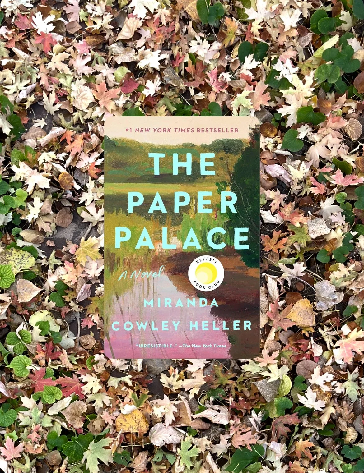 Book Review: The Paper Palace by Miranda Cowley Heller