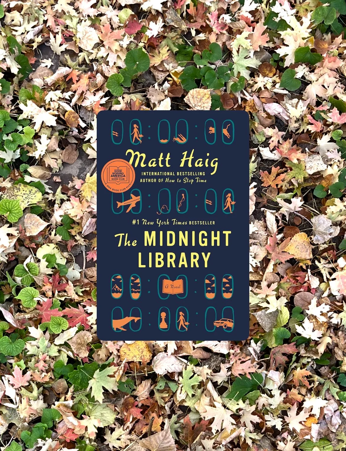 Book Review: The Midnight Library by Matt Haig