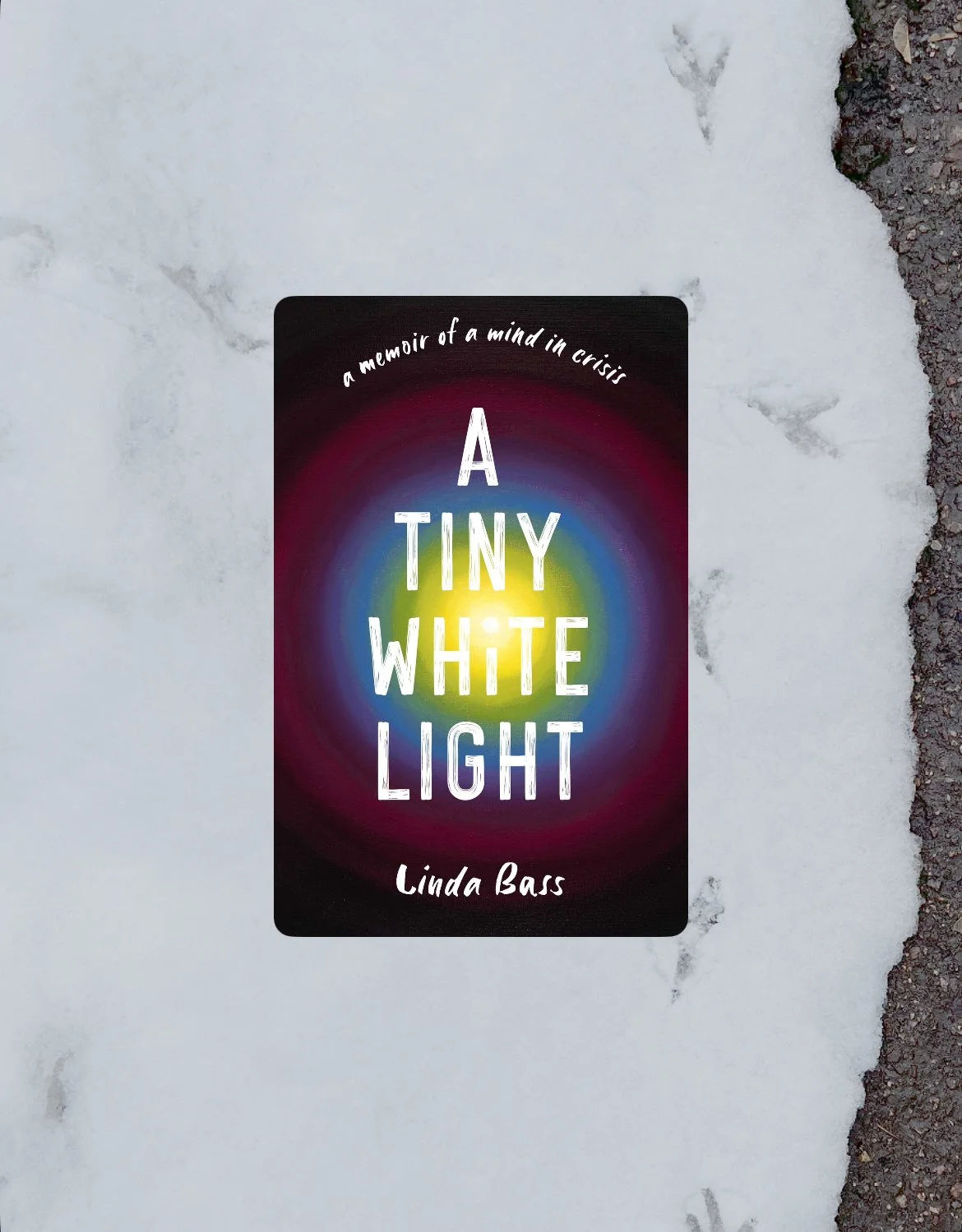 Book Review: A Tiny White Light by Linda Bass
