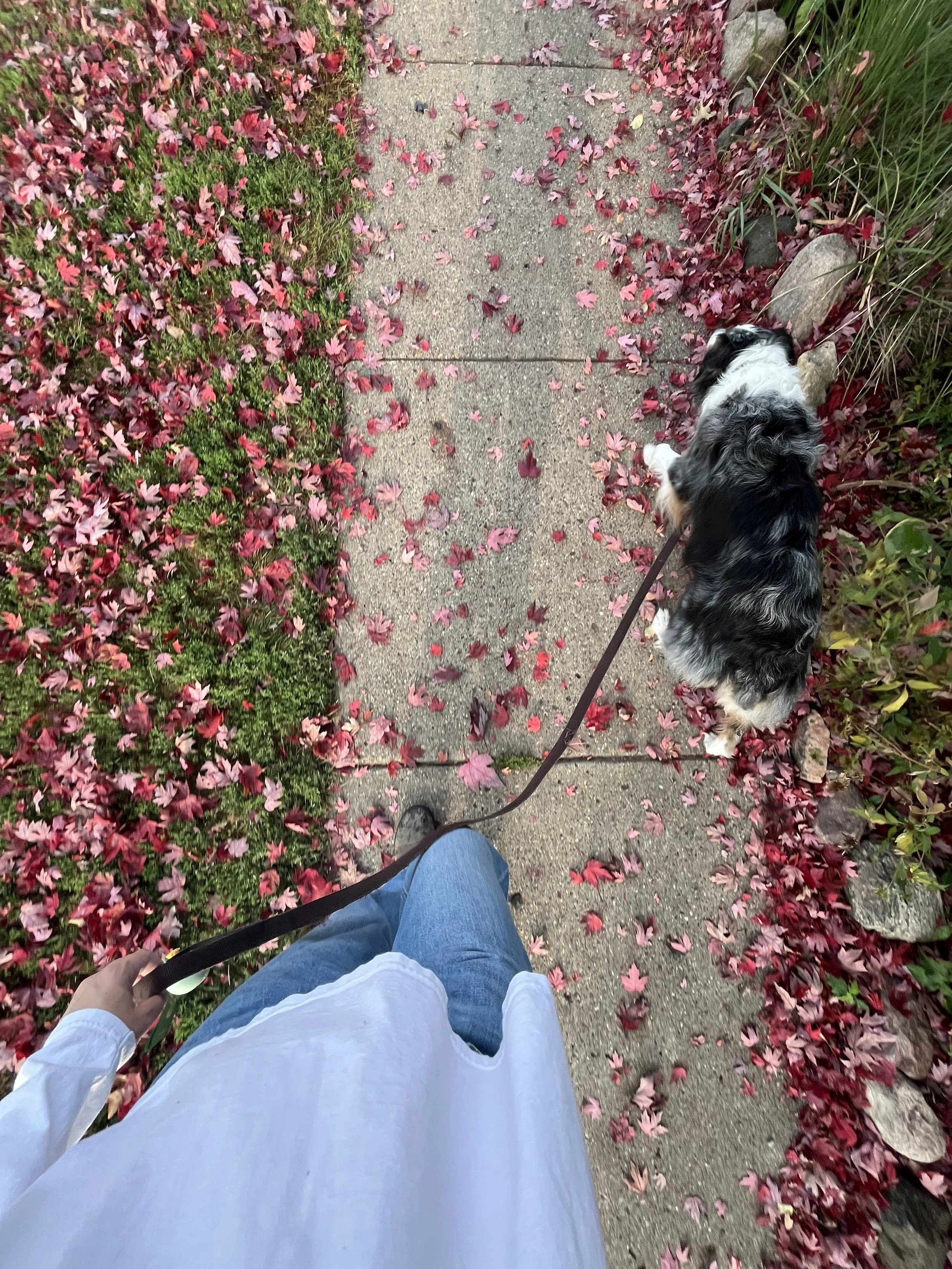 Autumn