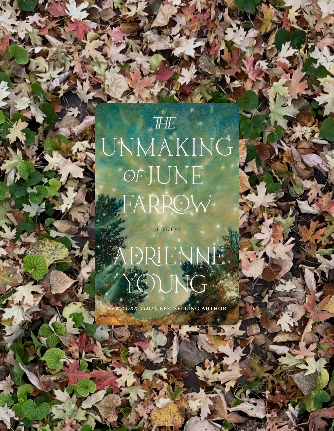 Book Review: The Unmaking of June Farrow by Adrienne Young 
