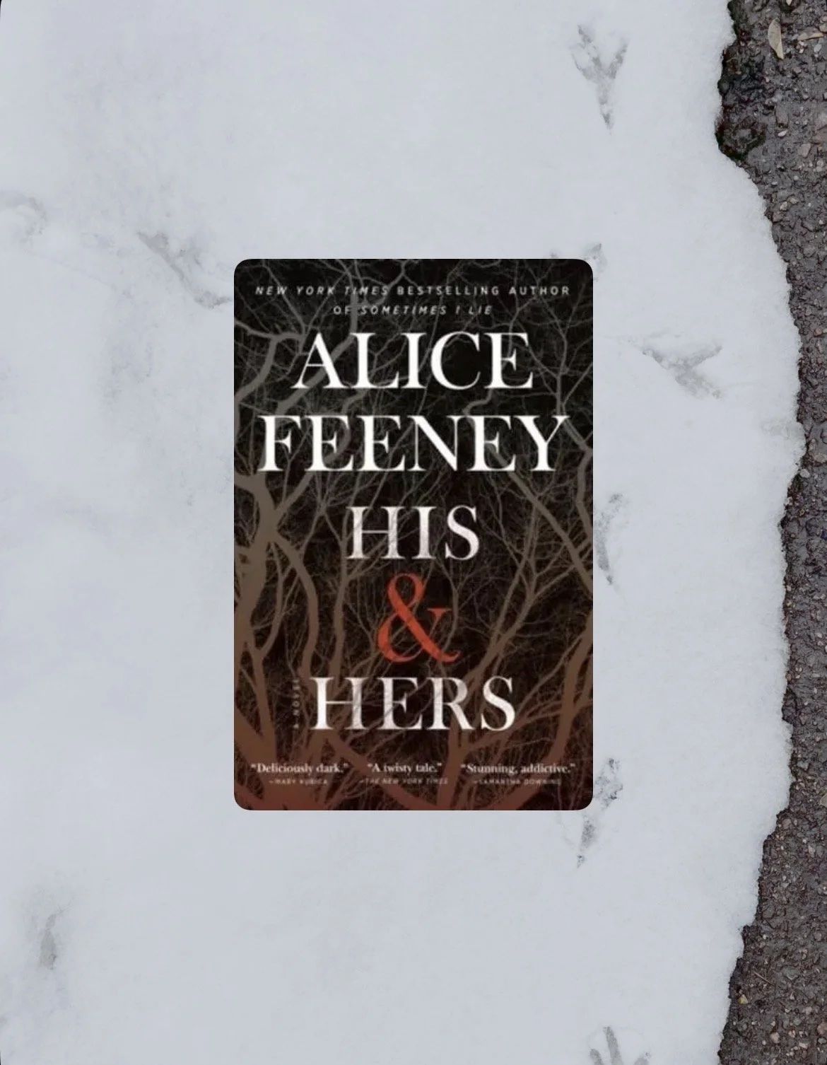 Book Review: His and Hers by Alice Feeney