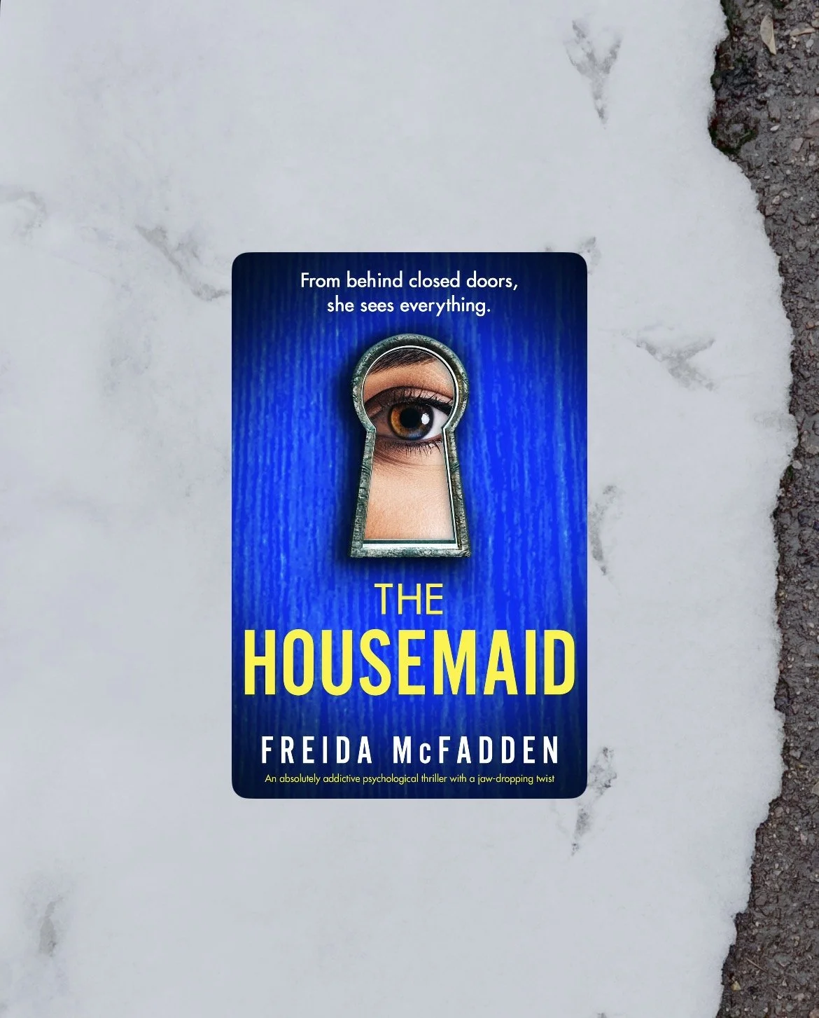 Book Review: The Housemaid by Freida McFadden 