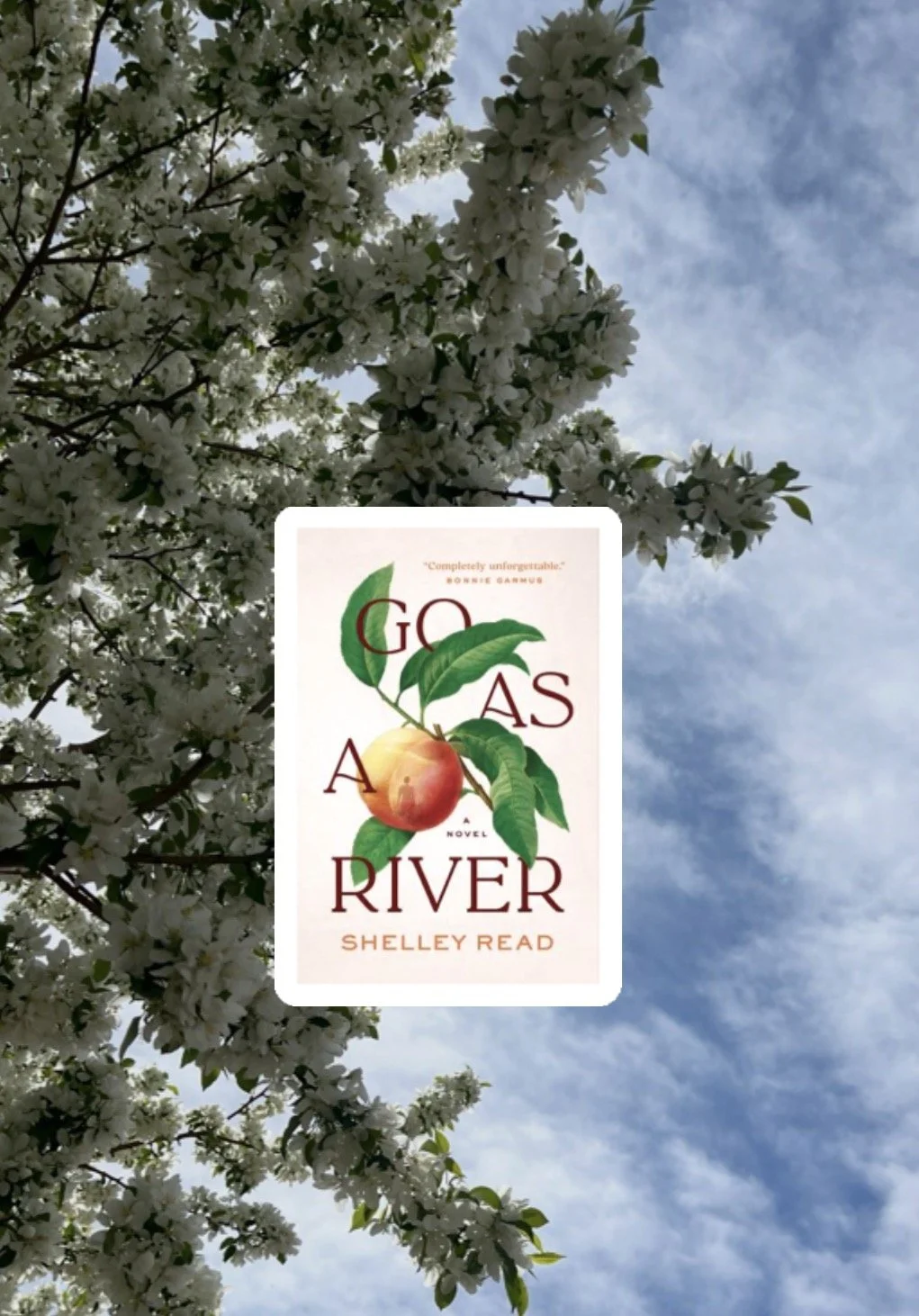 Book Review: Go as a River by Shelley Read