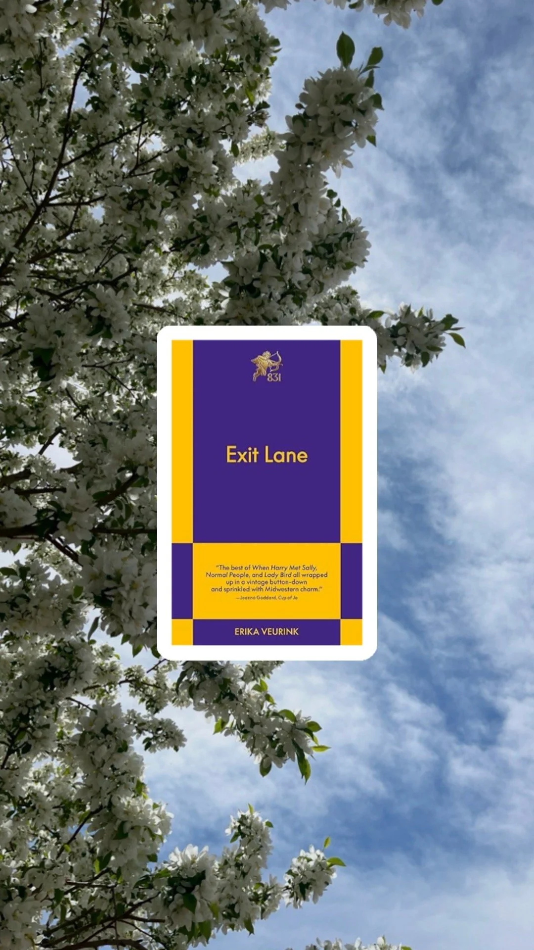 Book Review: Exit Lane by Erika Veurink