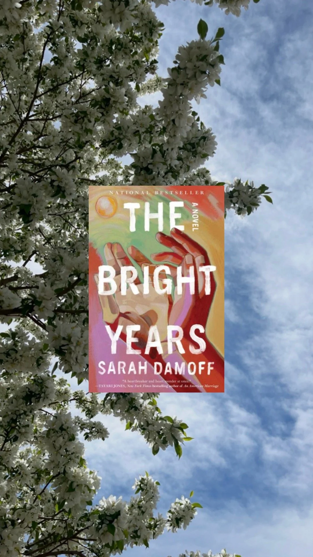 Book review: The Bright Years by Sarah Damoff 
