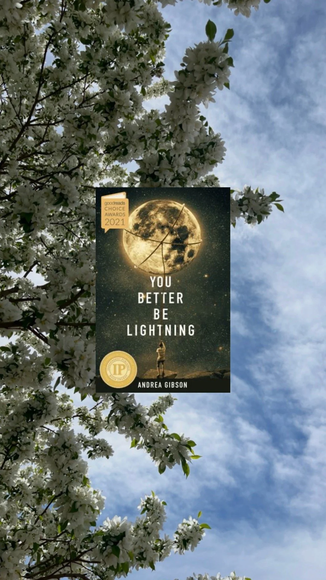 Book Review: You Better Be Lightning by Andrea Gibson 