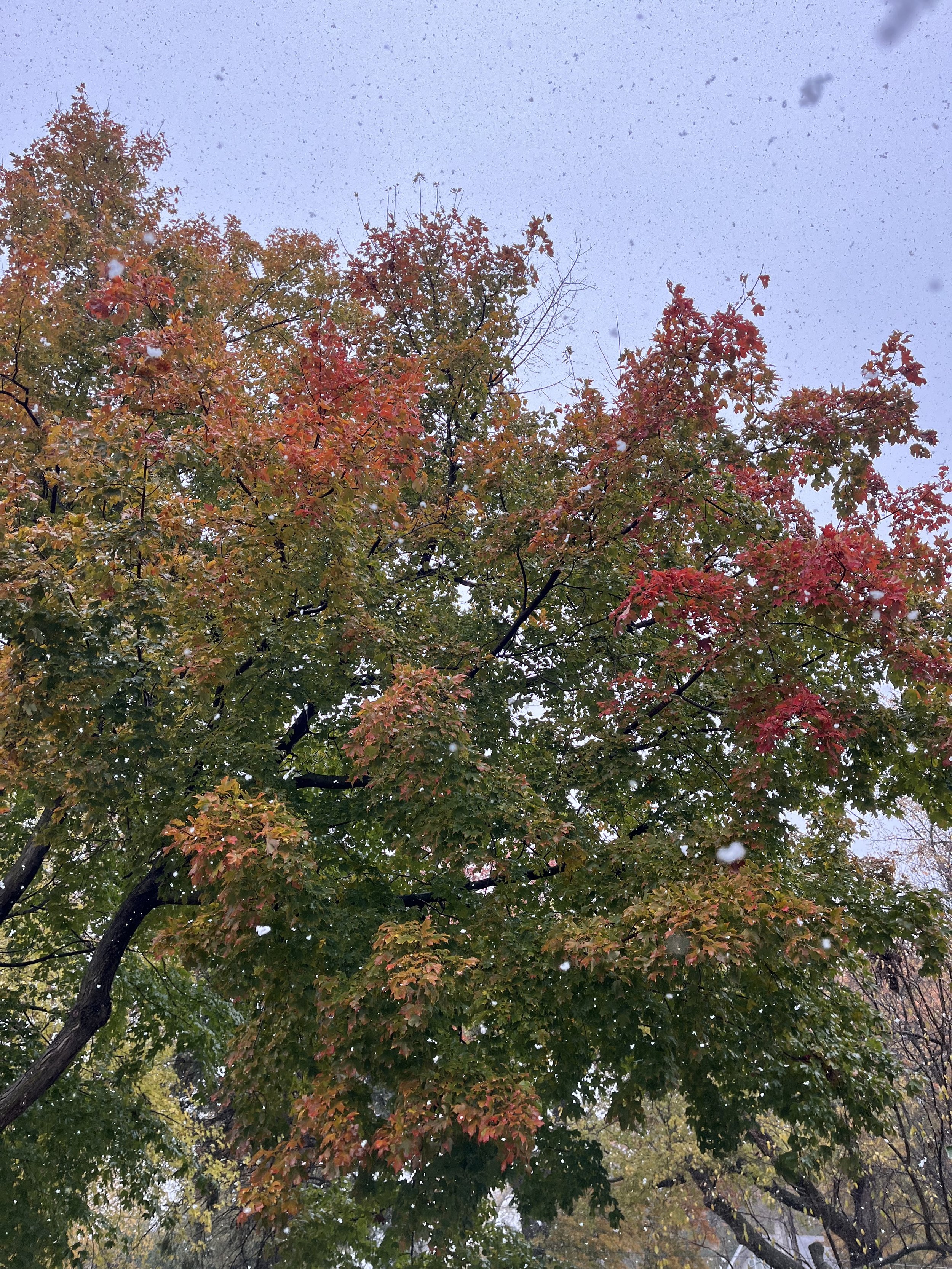 Autumn Reading List