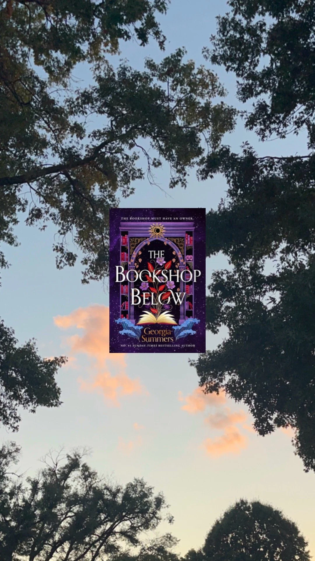 Book Review: The Bookshop Below by Georgia Summers 