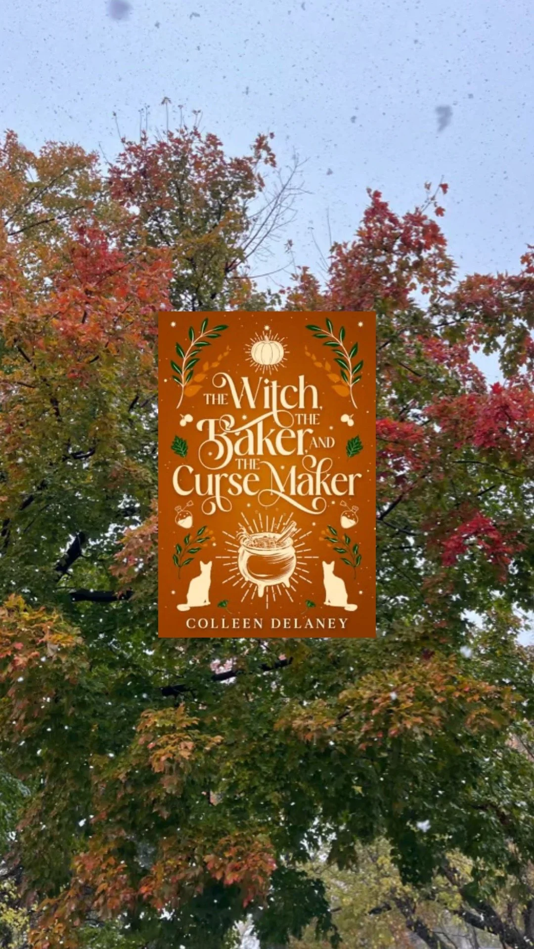 Book Review: The Witch, The Baker, and The Curse Maker by Colleen Delaney