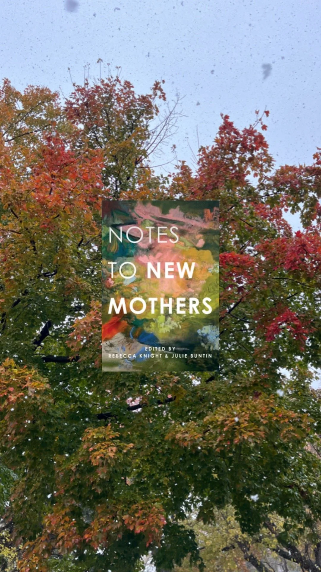 Book Review: Notes to New Mothers By REbecca Knight