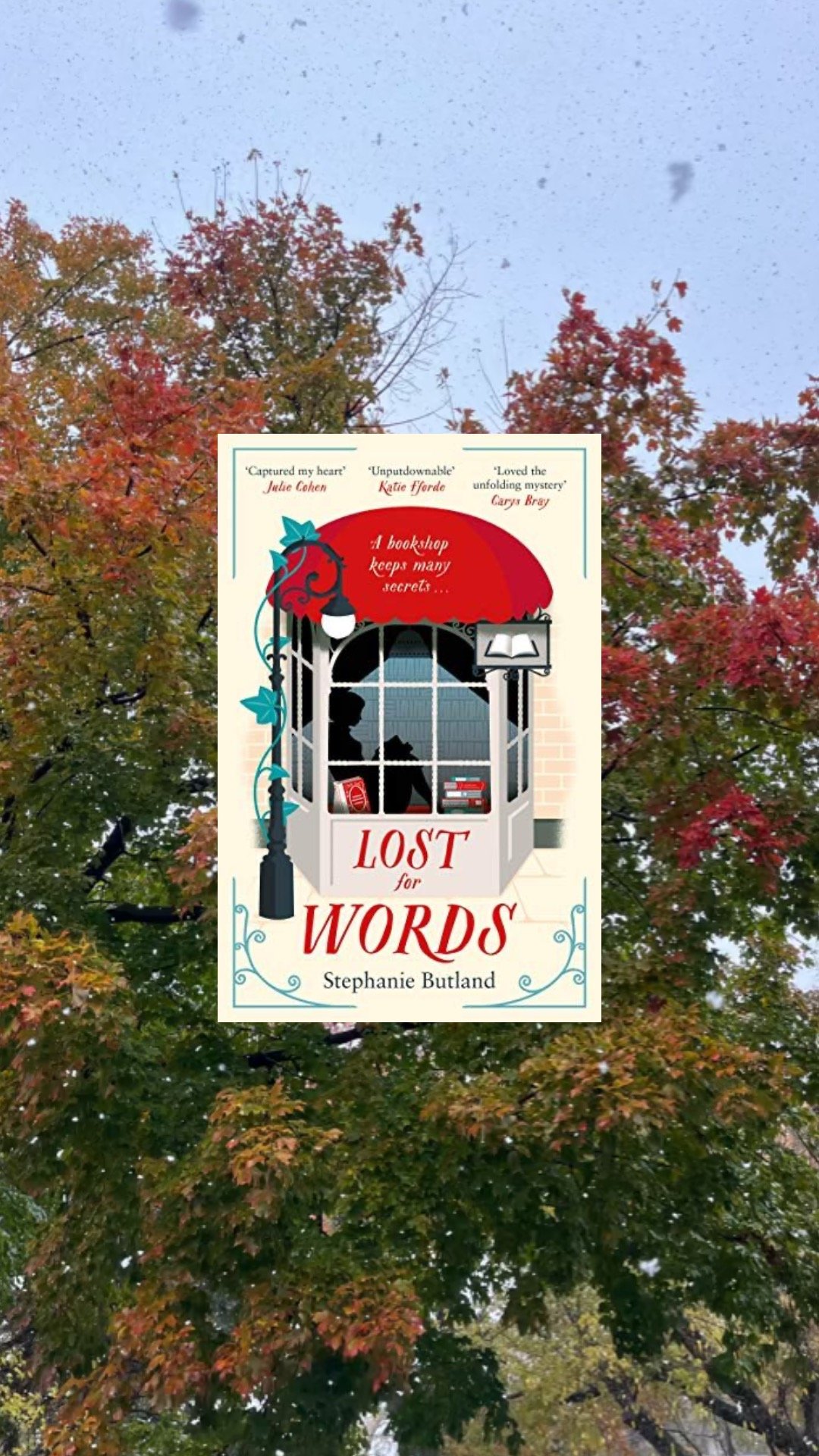 Lost for Words by Stephanie Butland
