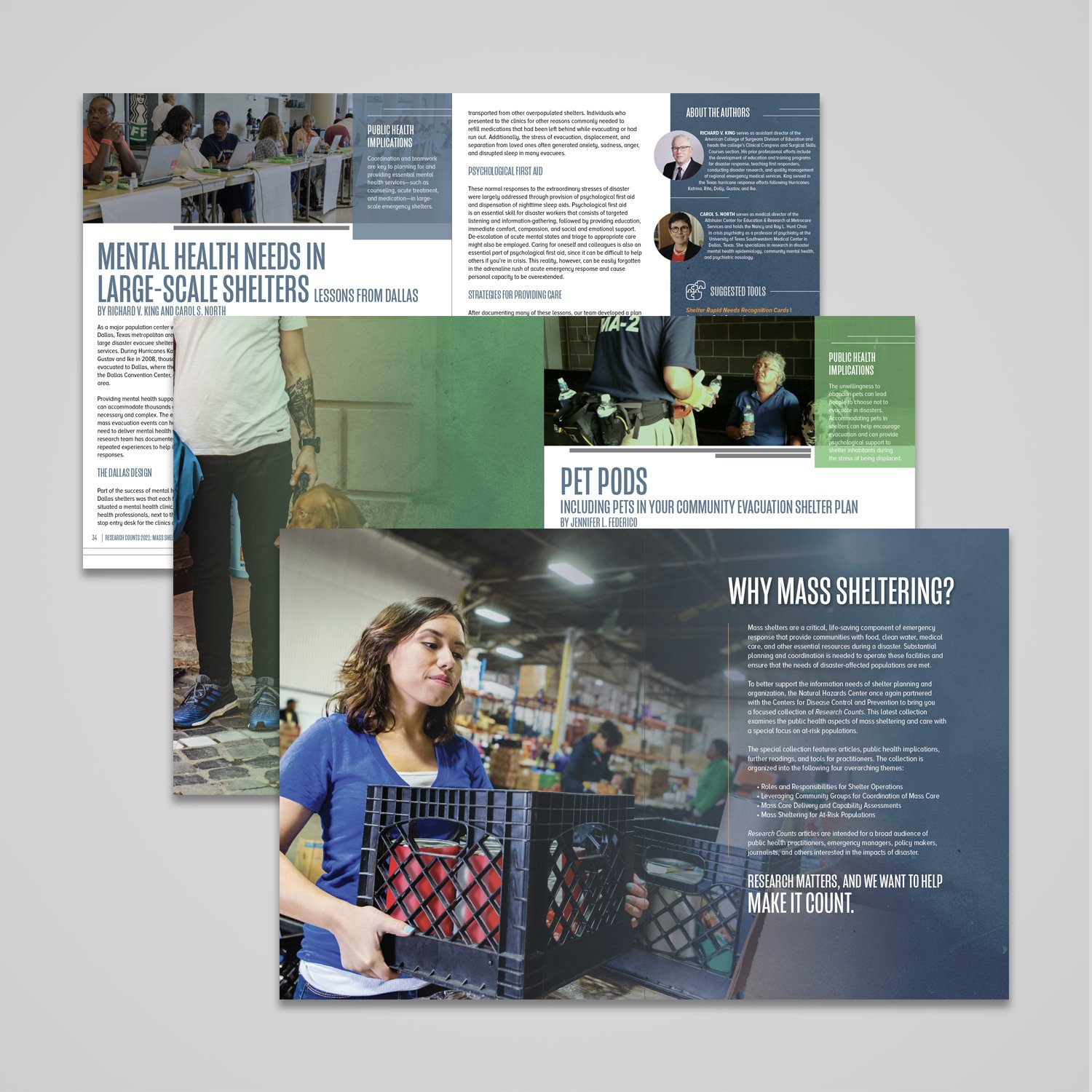 Graphic Design Multi Page Reports