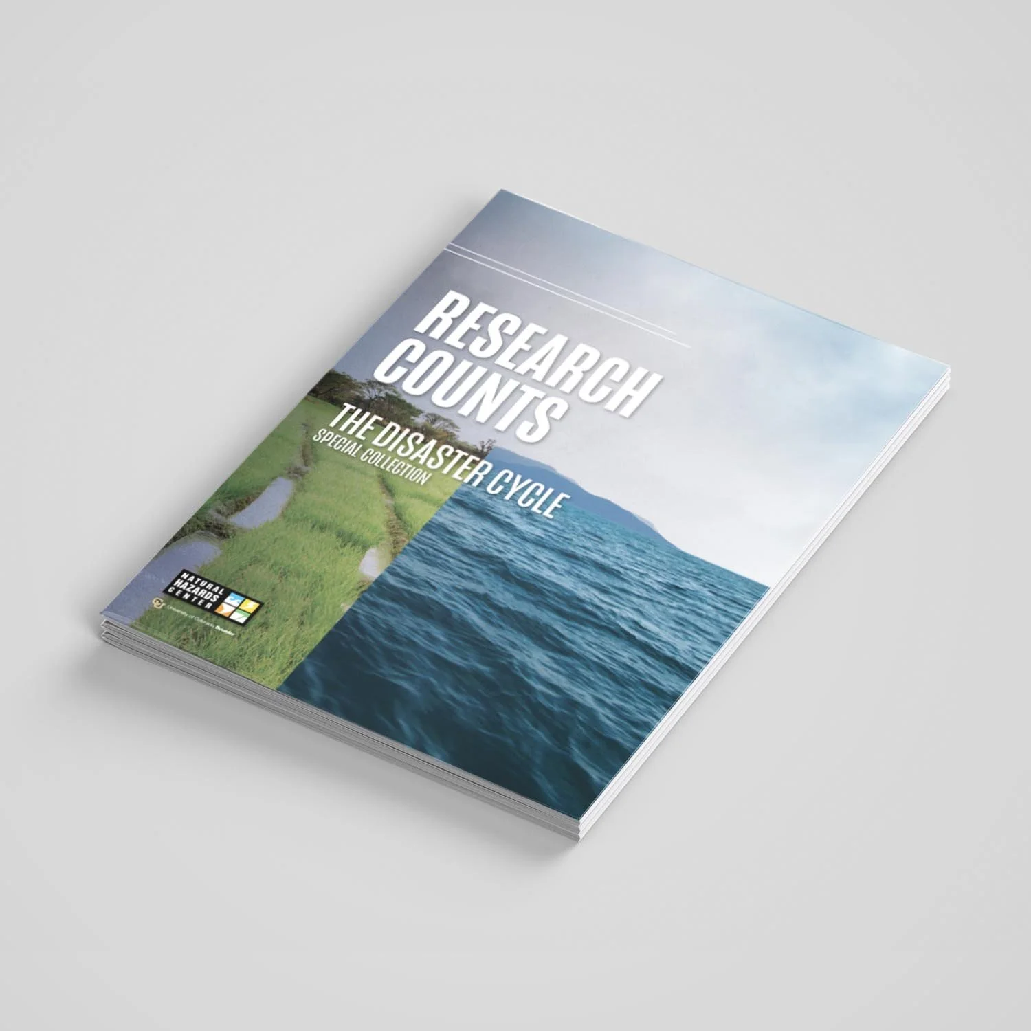 Graphic Design Multi Page Reports