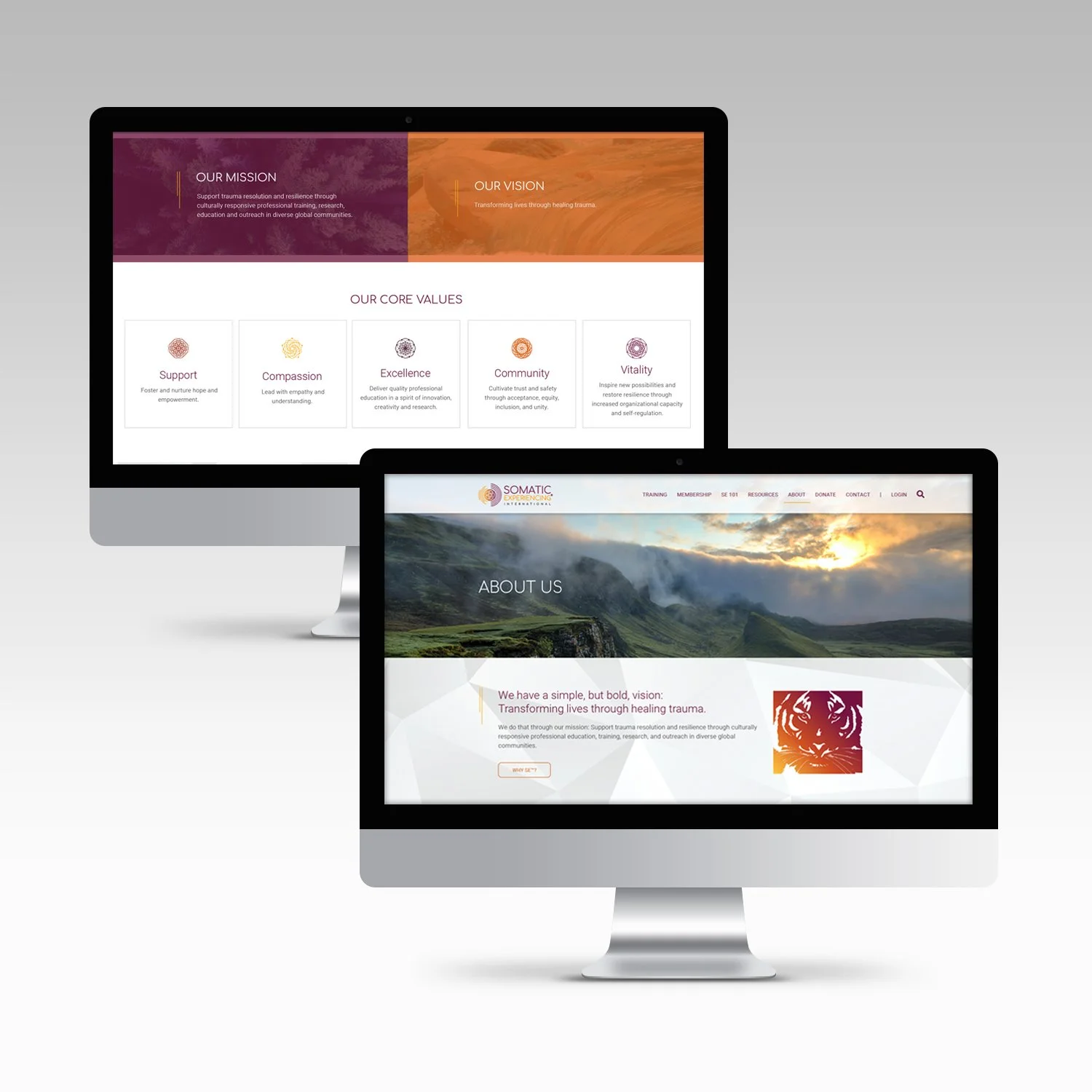 somatic experiencing international website