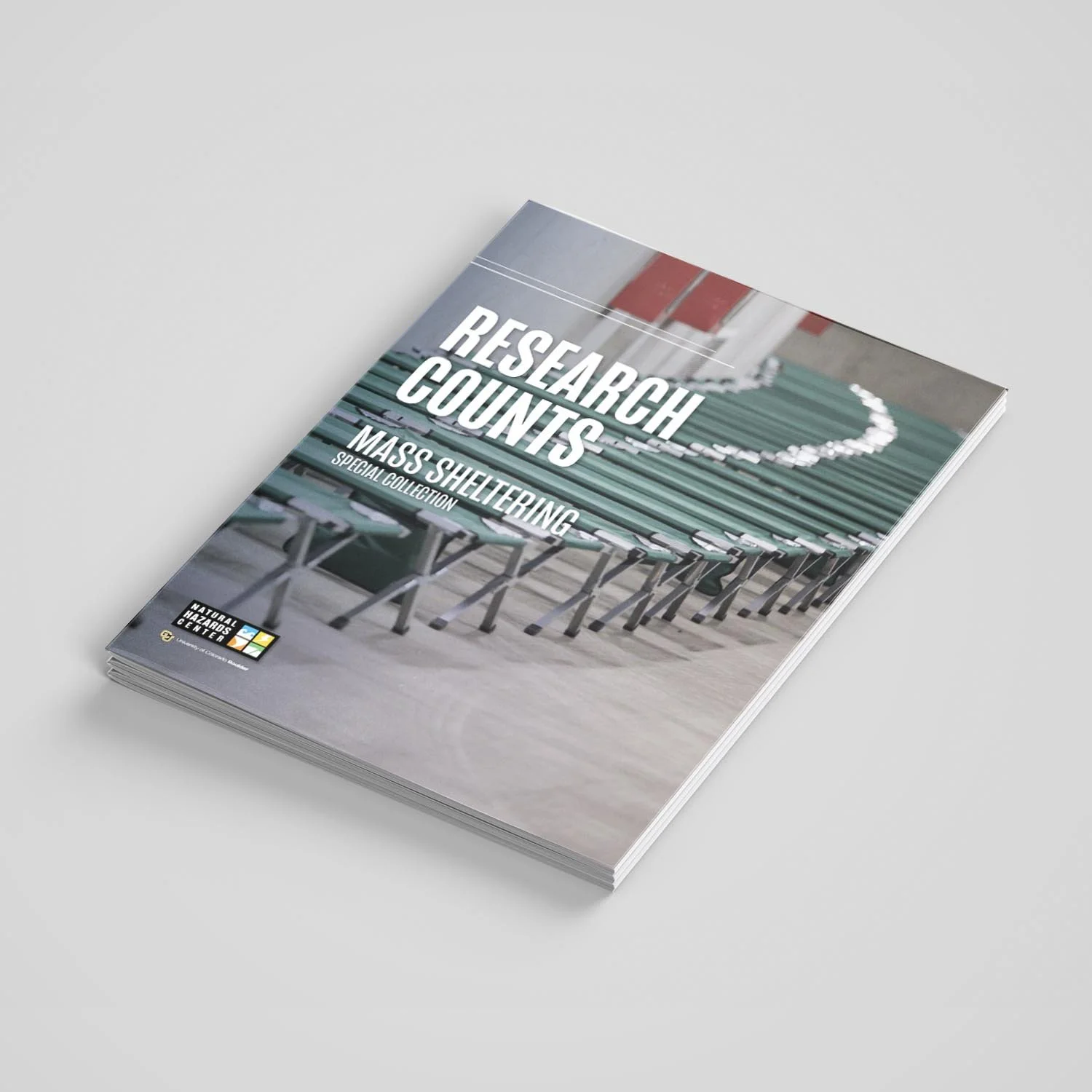 Graphic Design Multi Page Reports