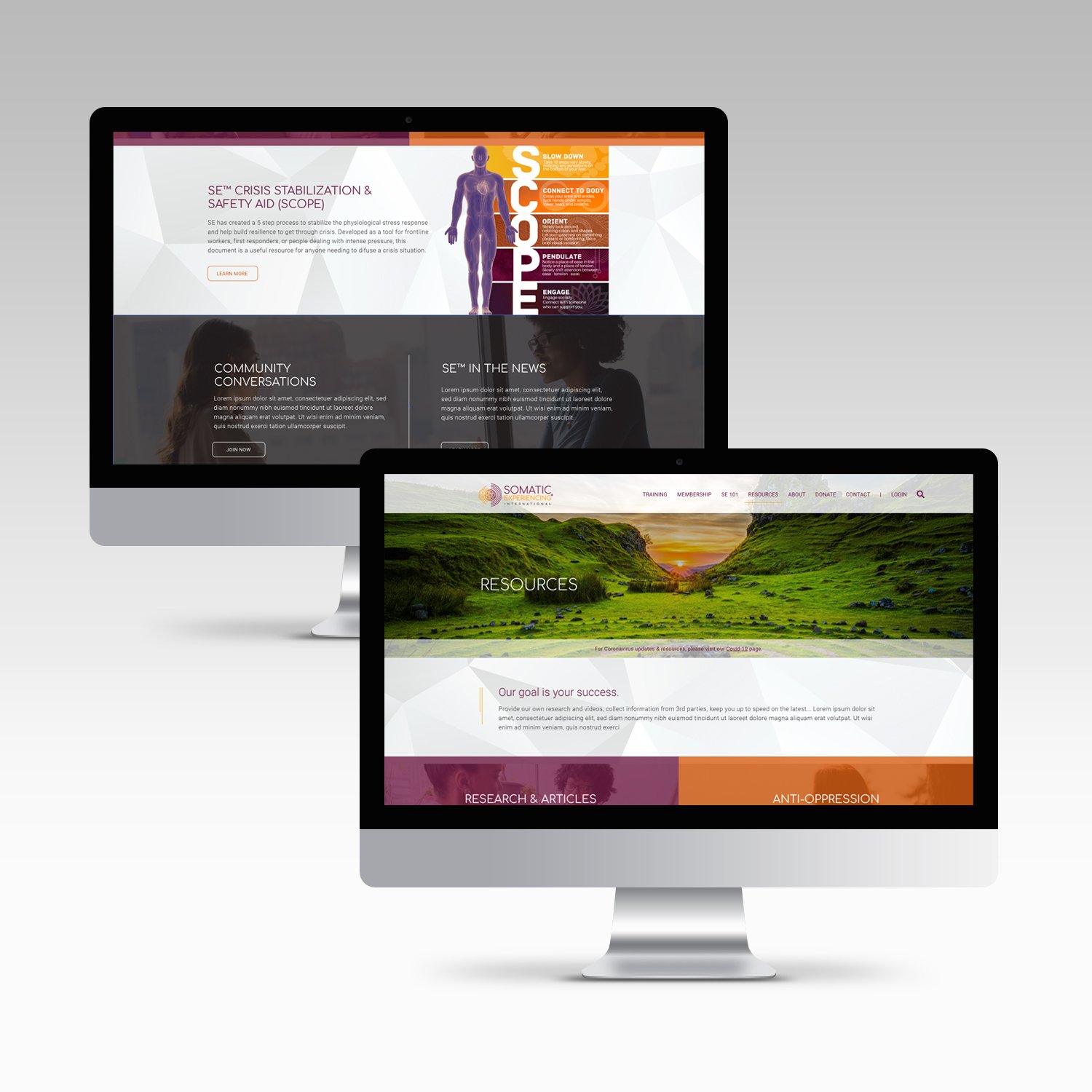 somatic experiencing international website