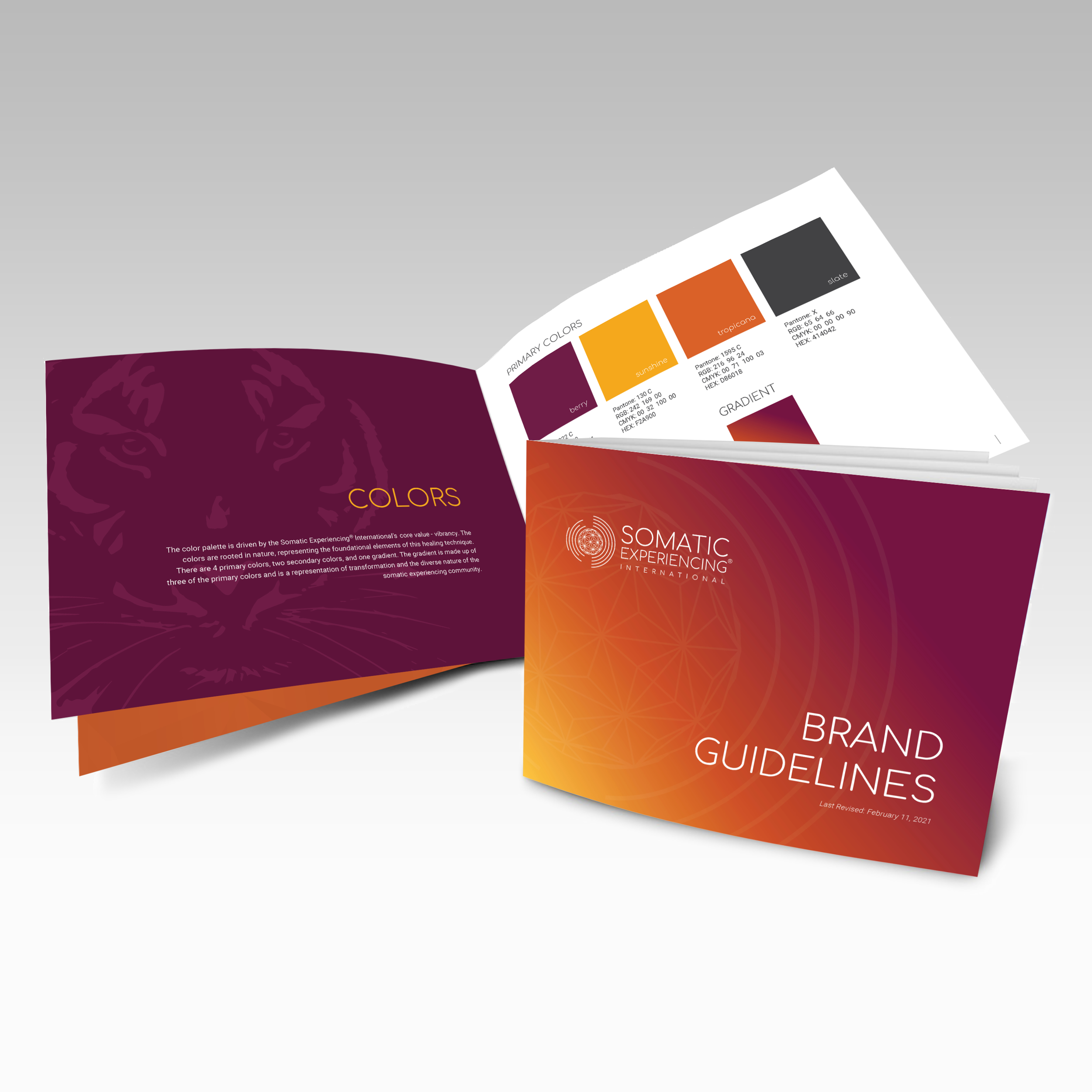 somatic experiencing international design guidelines