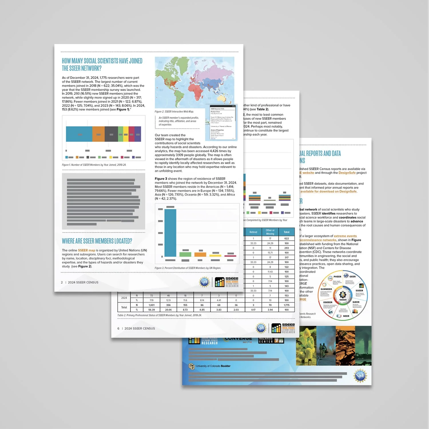 Graphic Design Multi Page Reports
