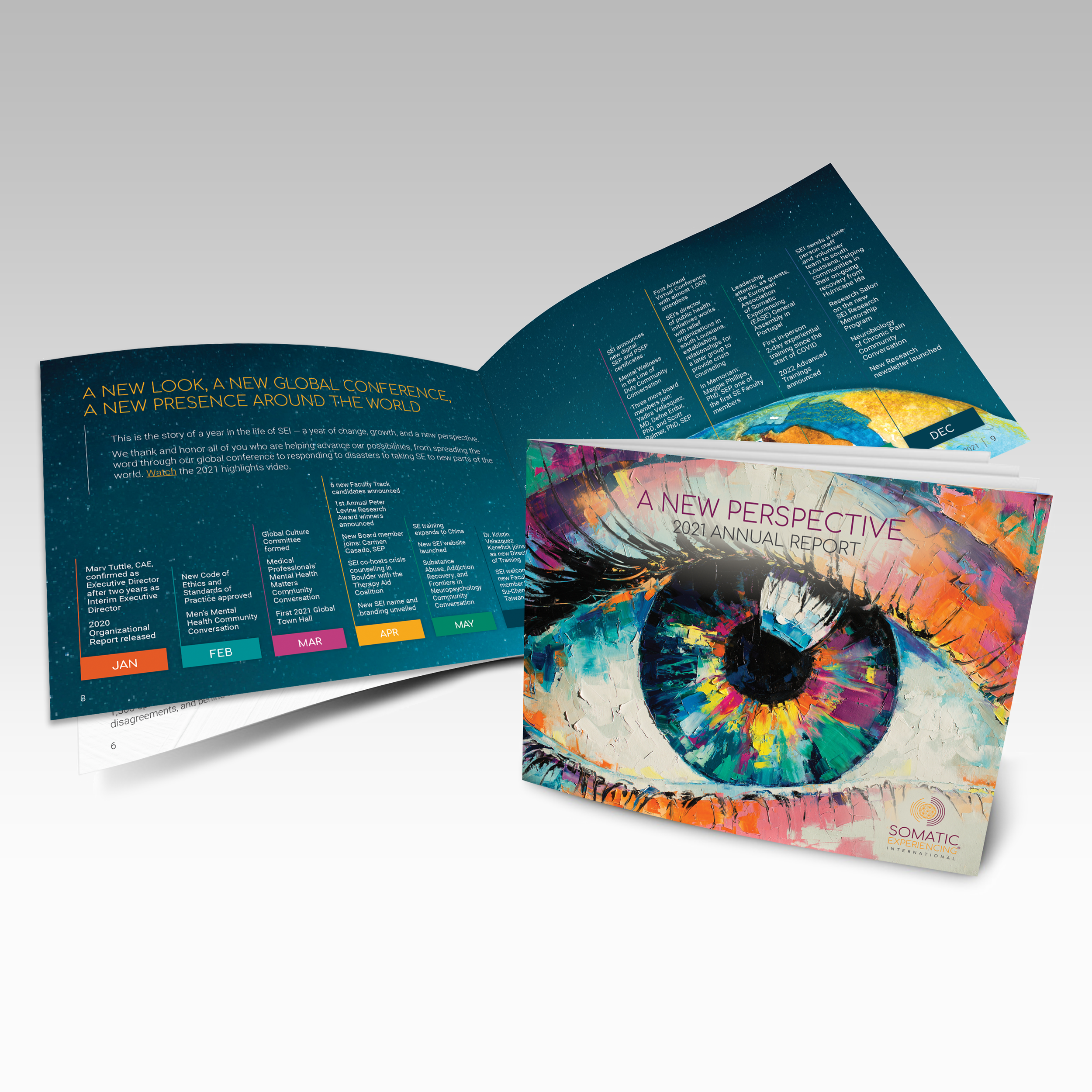 somatic experiencing international annual report