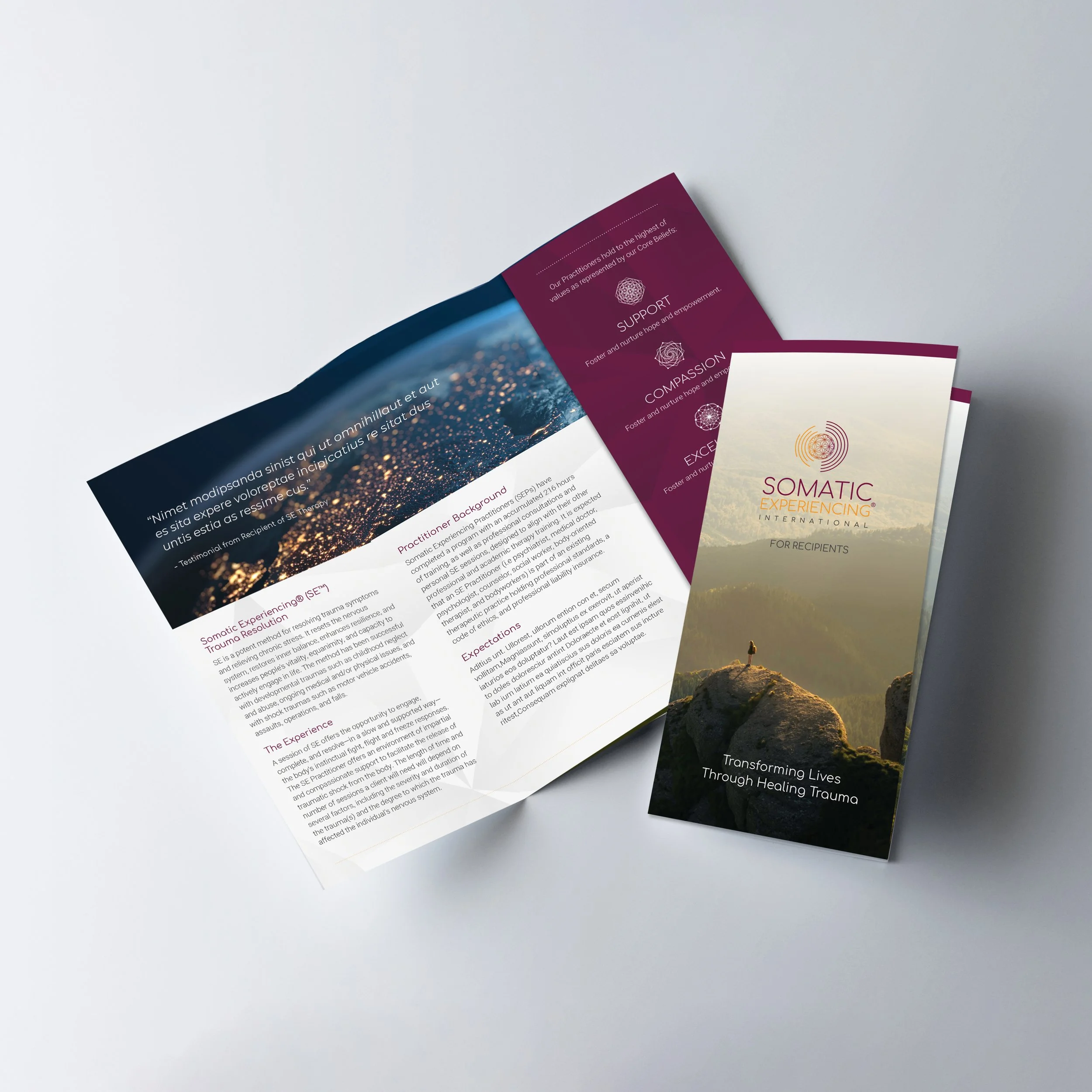 somatic experiencing international brochure