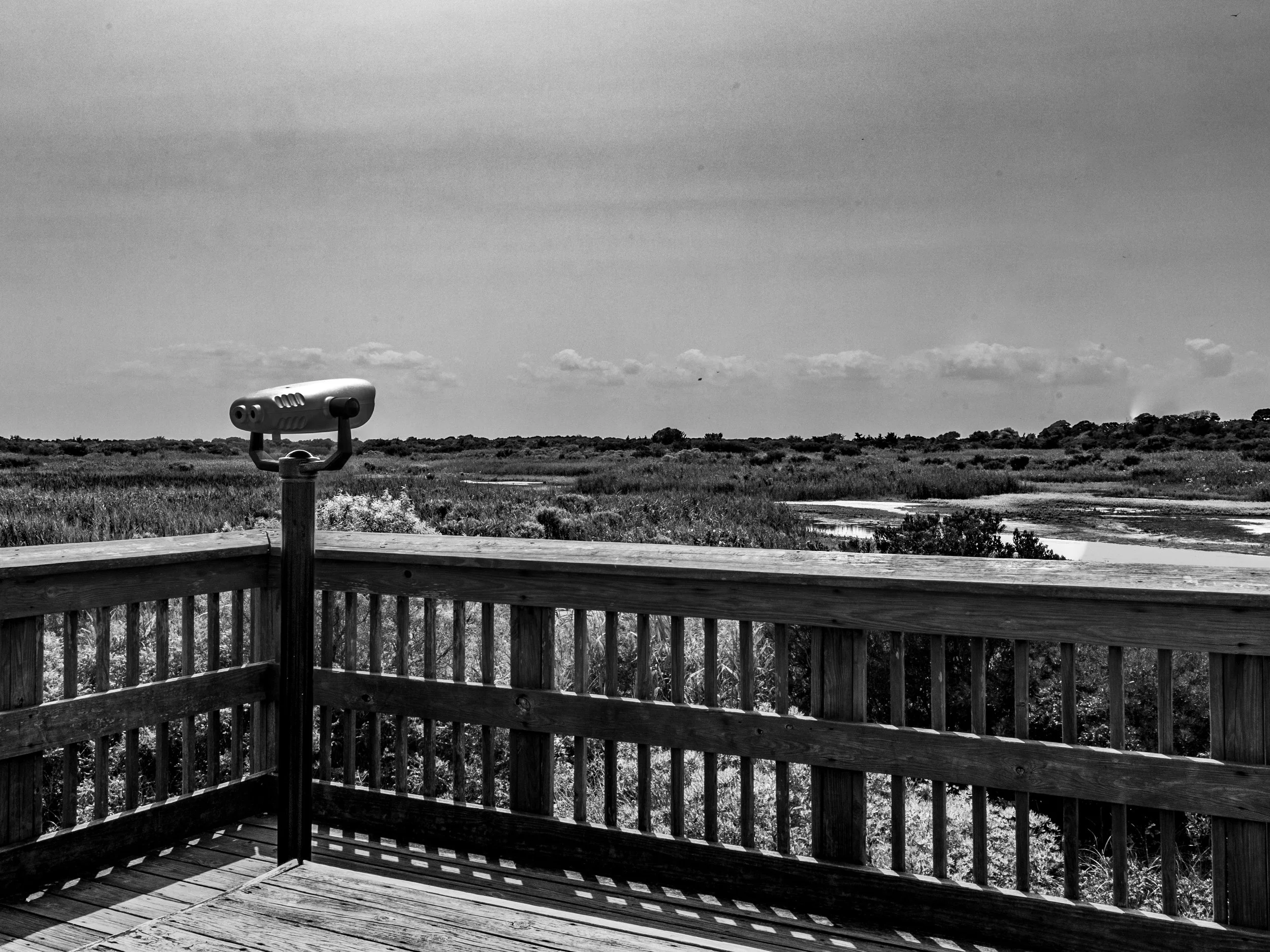 South Cape May Meadows
Cape May, New Jersey