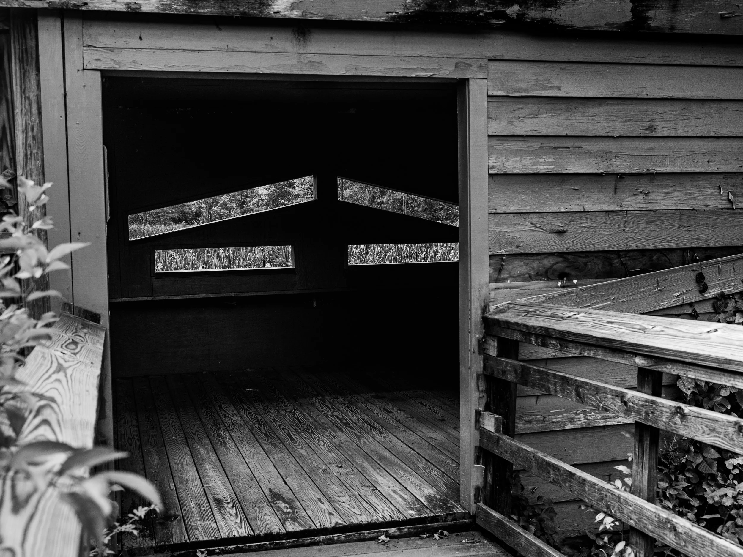 Great Swamp National Wildlife Refuge
Morris County, New Jersey